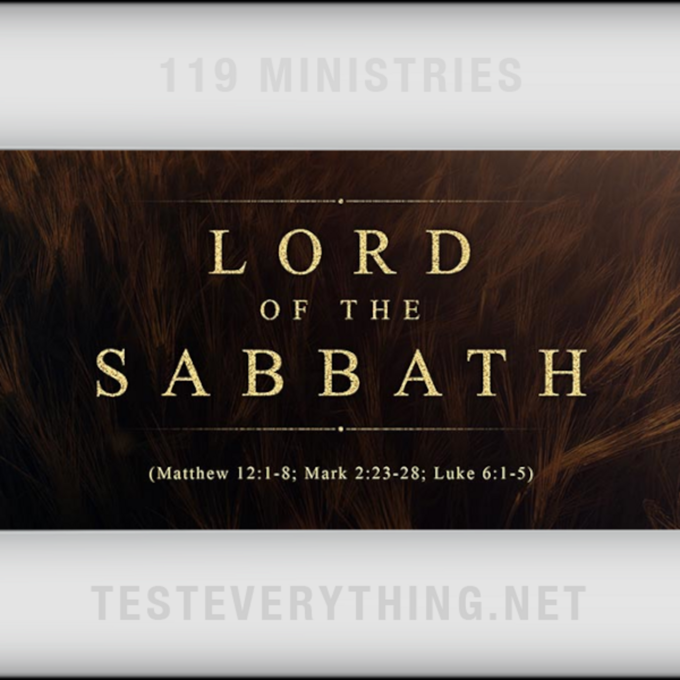 Episode 527: TE: Lord of the Sabbath (Matthew 12:1-8; Mark 2:23-28; Luke 6:1-5)