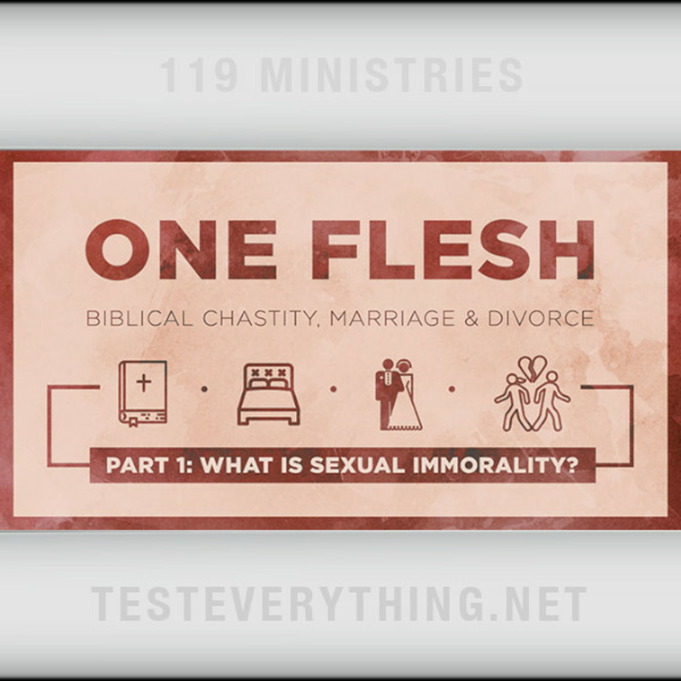 Episode 546: One Flesh - Biblical Chastity, Marriage & Divorce - Part 1 - What is Sexual Immorality