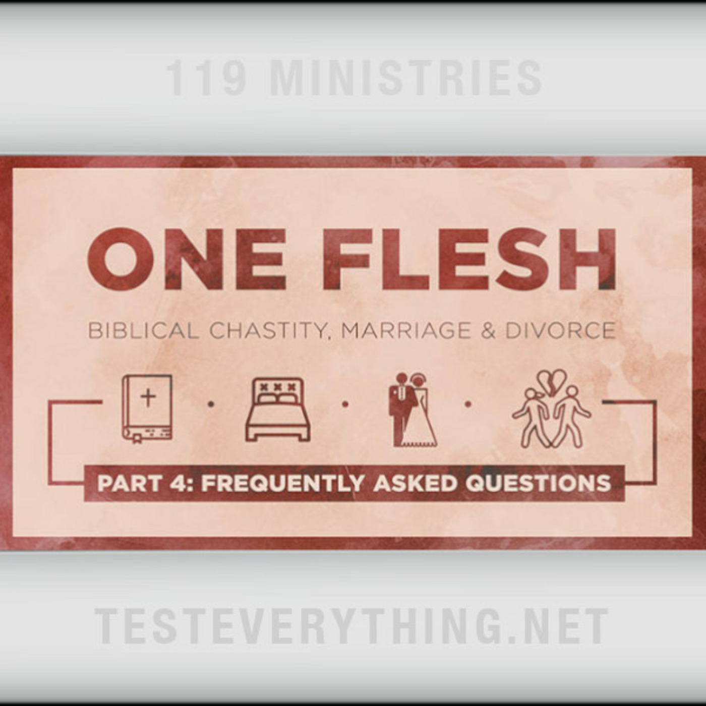 Episode 549: TE: One Flesh - Biblical Chastity, Marriage & Divorce - Part 4 - Frequently Asked Questions