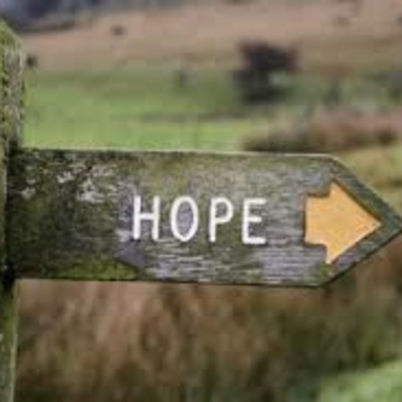 Where there is life... There is HOPE!!