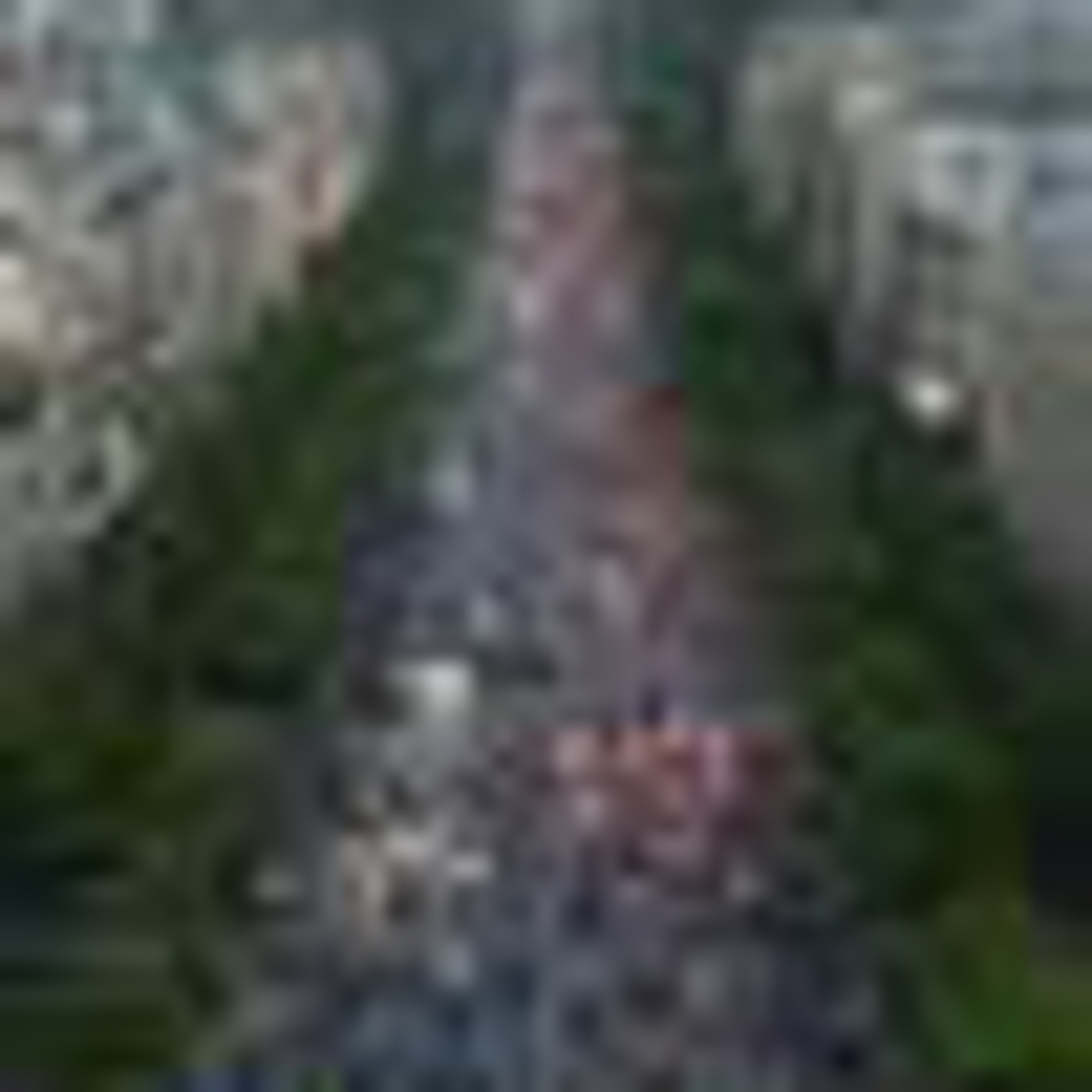 Les Champs Elysèes Les Champs Elysèes