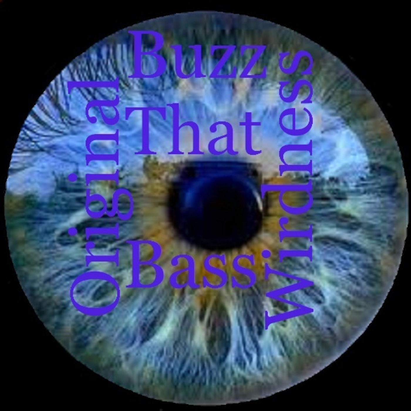 Buzz That Bass(Original By Dj Wirdness 1-12-2012)