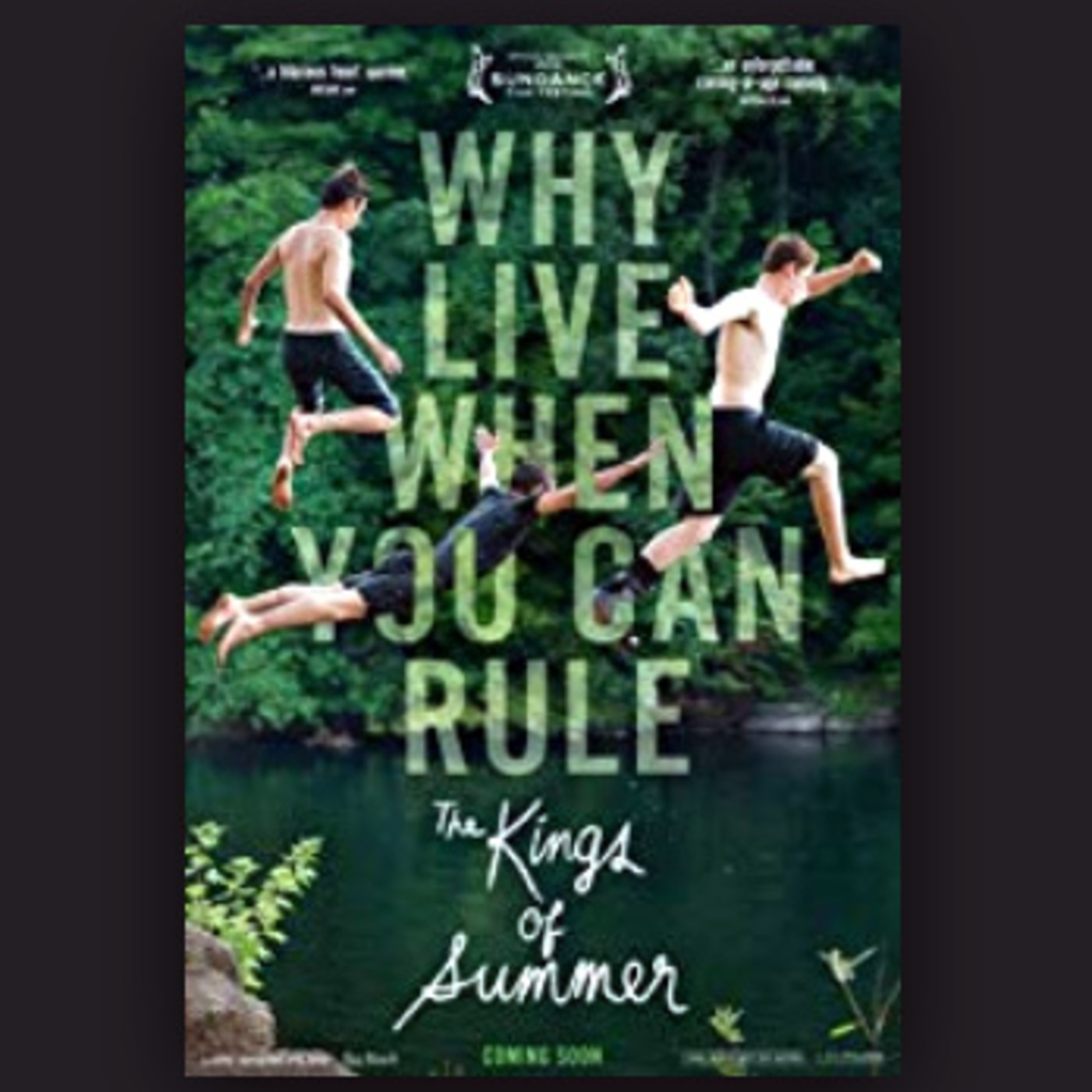 The Kings of Summer