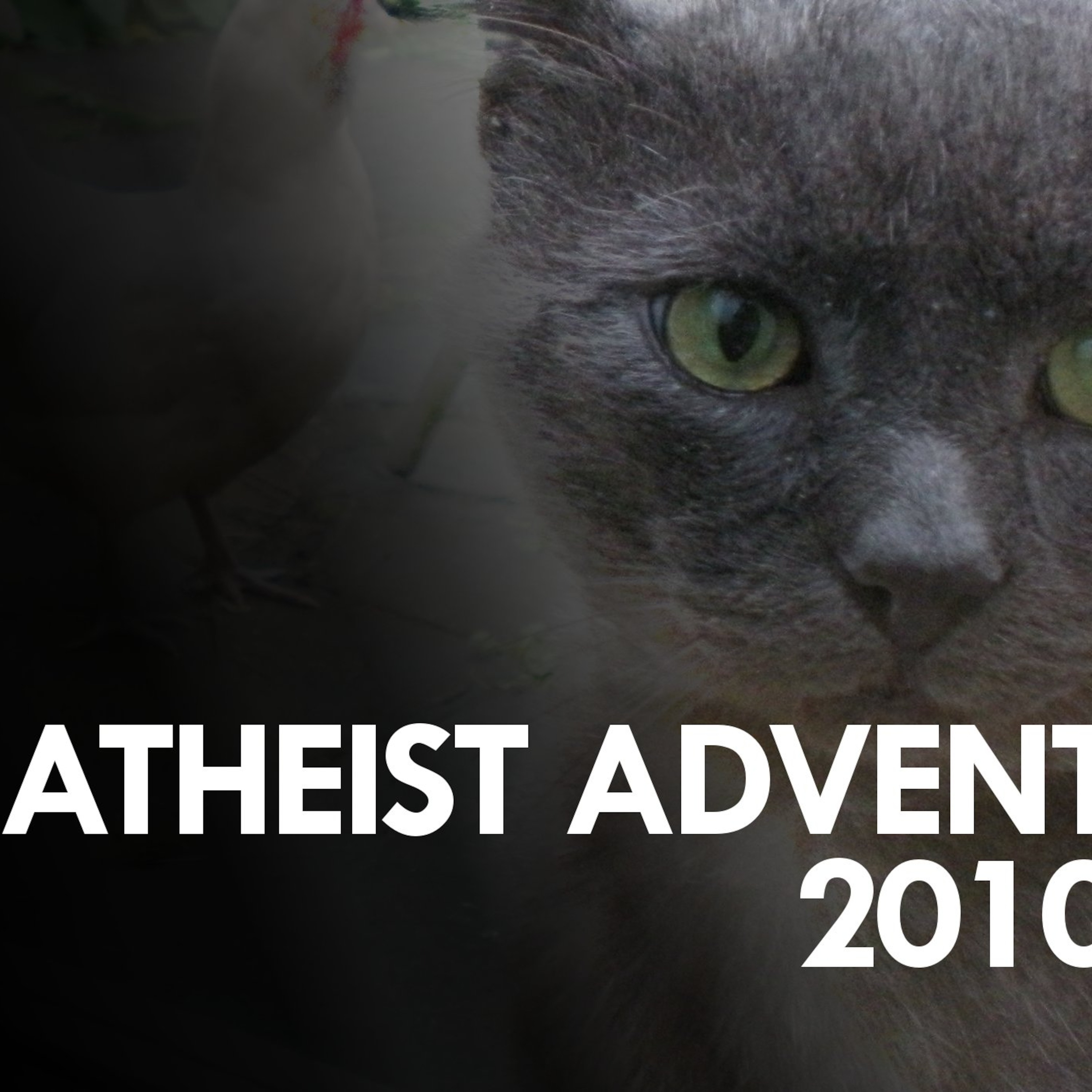 Frozen Headlights (Atheist Advent, 1 December 2010)
