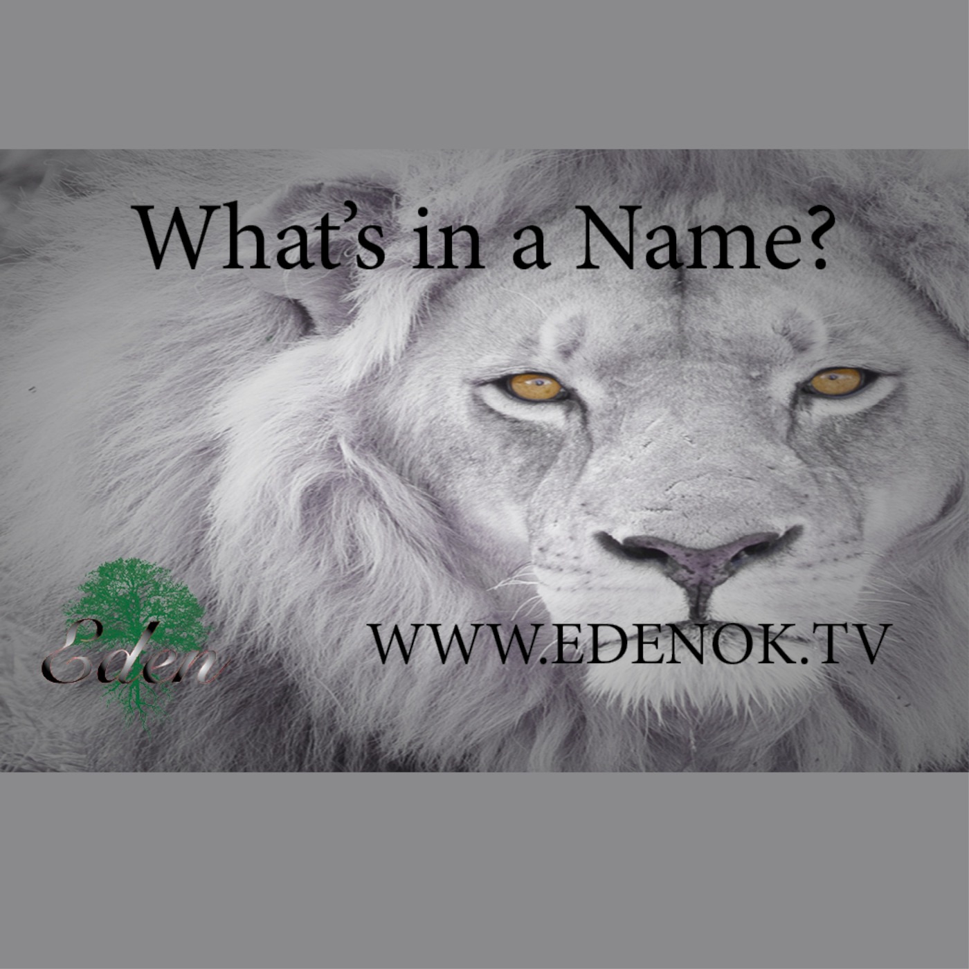 1202 - What's in a Name Part 3
