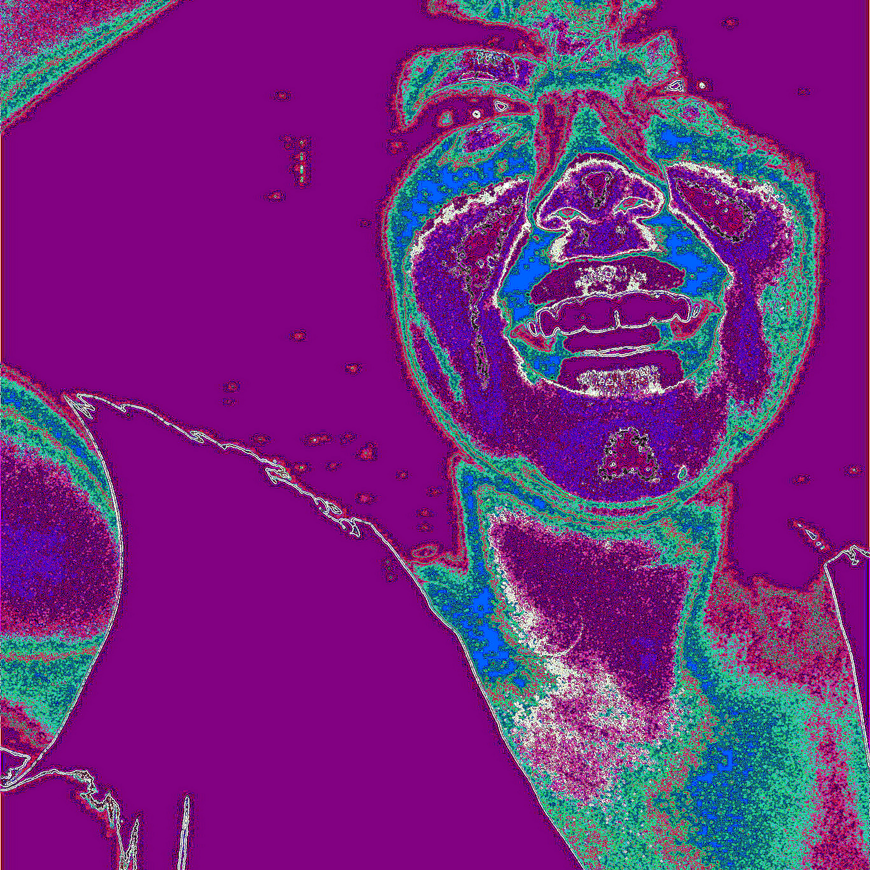 DJ Mac Rowe - \