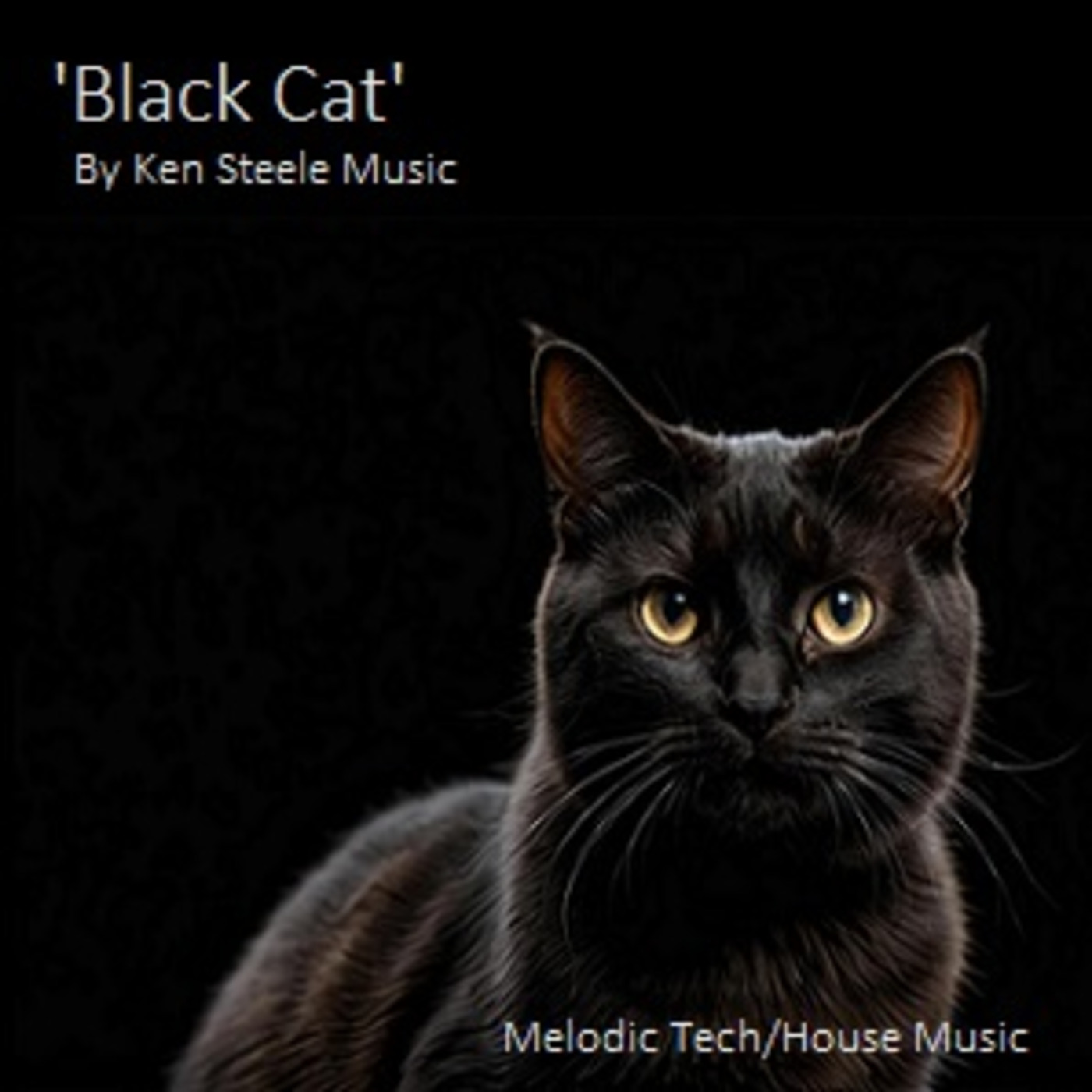Ken Steele Music