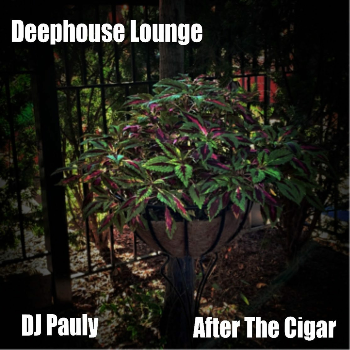 DJ Pauly\'s Deep House Lounge