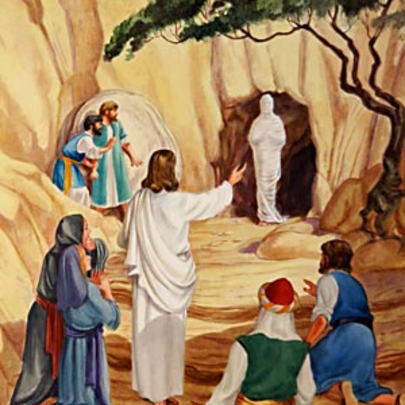 Lectio Divina & Sermons with Rev. Dr. Craig Stephans