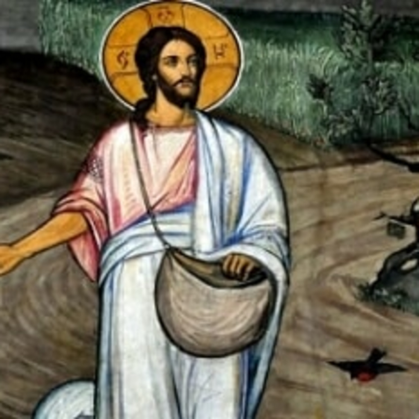 Lectio Divina & Sermons with Rev. Dr. Craig Stephans