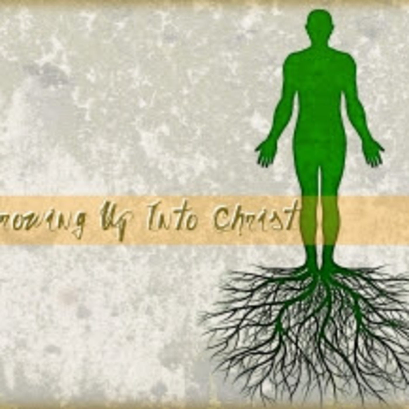 Lectio Divina & Sermons with Rev. Dr. Craig Stephans