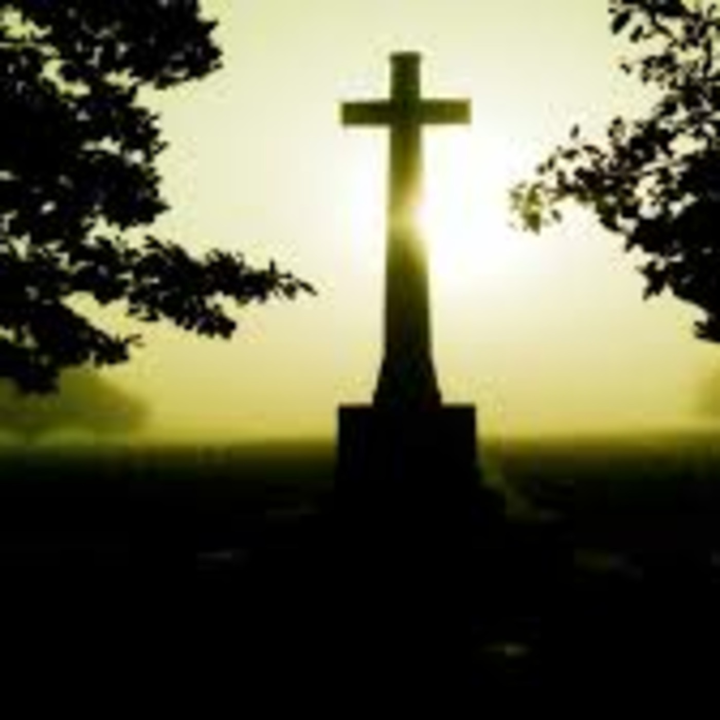 Lectio Divina & Sermons with Rev. Dr. Craig Stephans