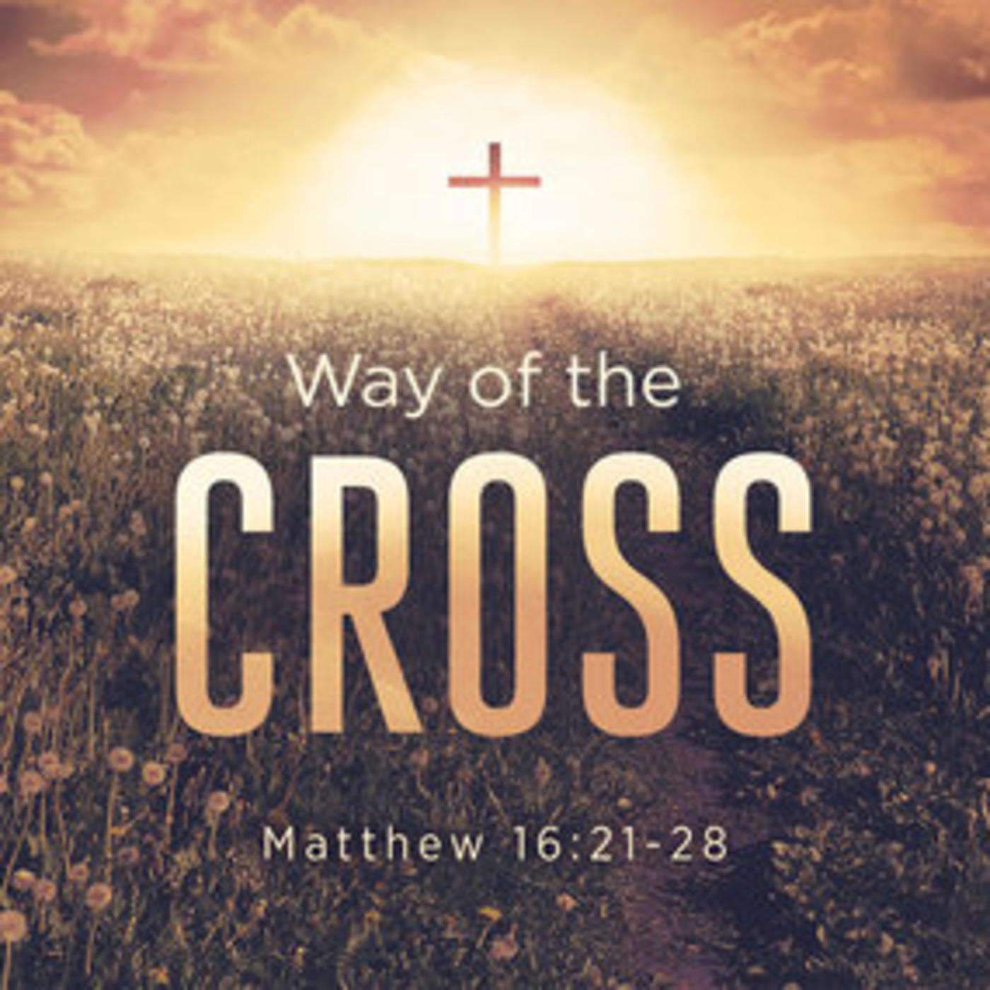 Lectio Divina & Sermons with Rev. Dr. Craig Stephans