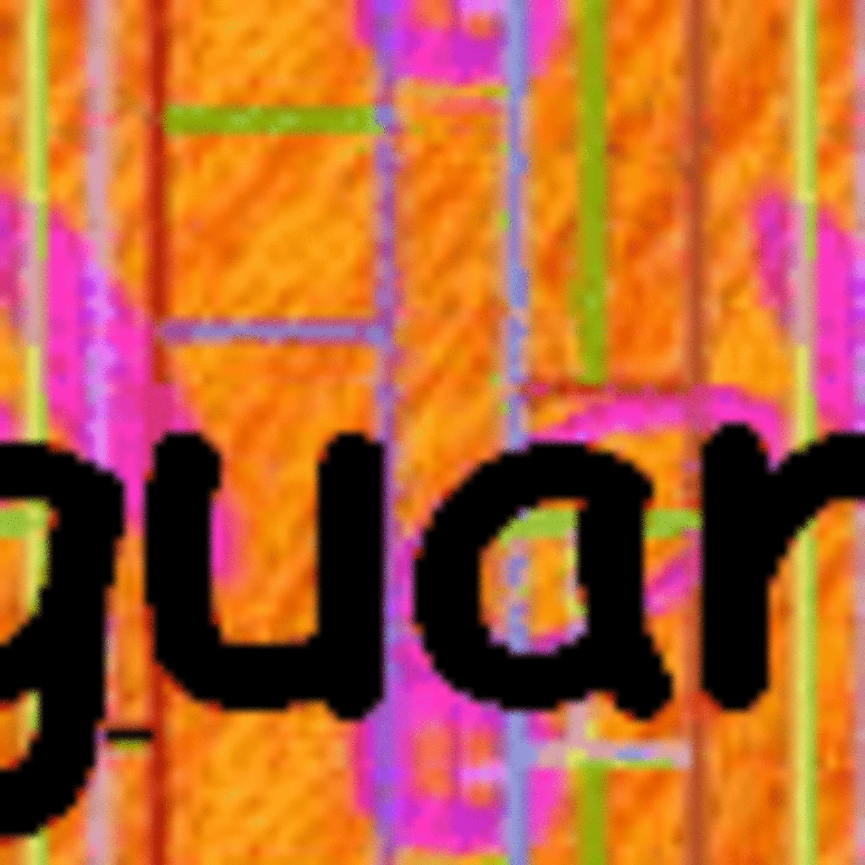 Languanews December 2006 episode artwork