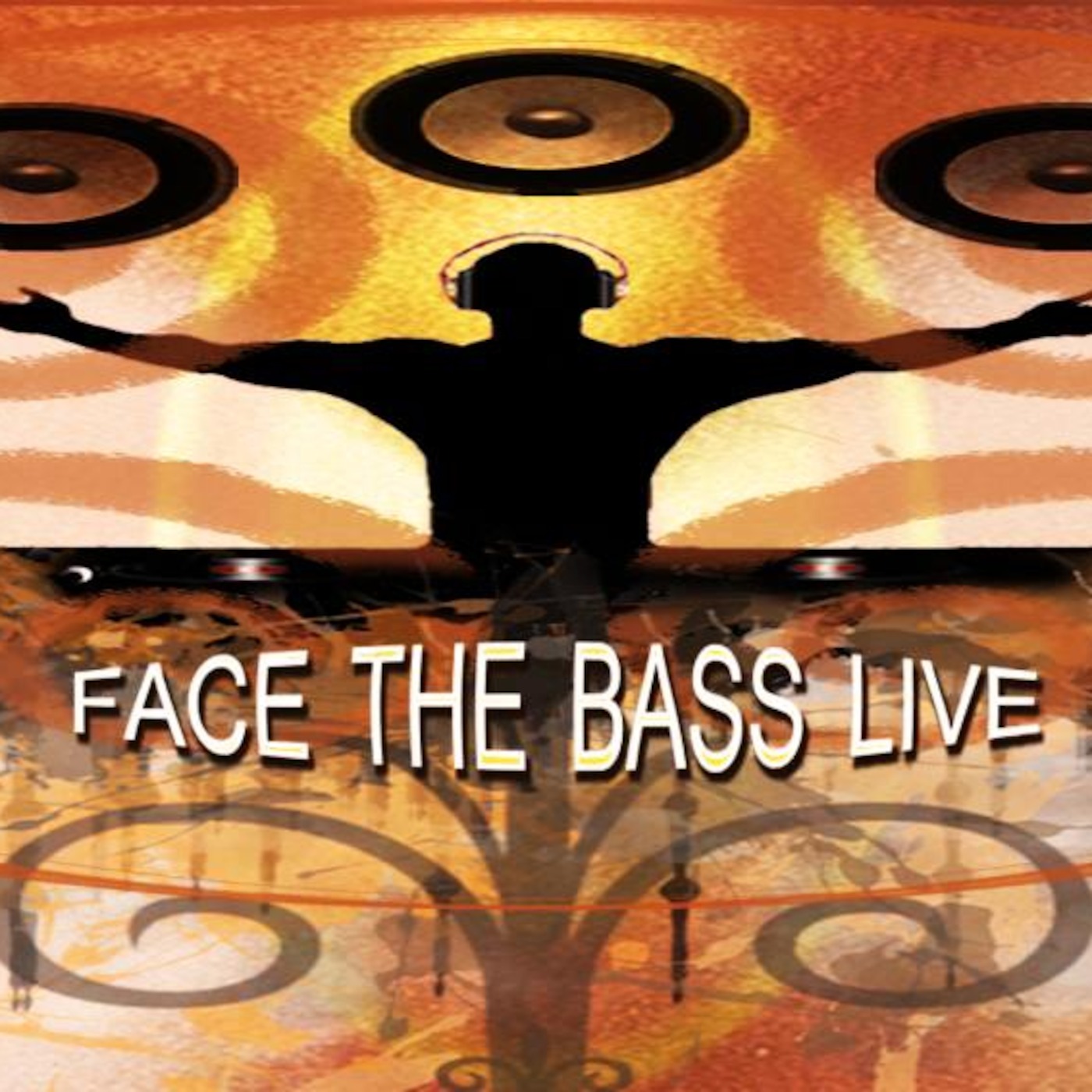 MIXING THE VIBE – FACETHEBASSLIVE.COM