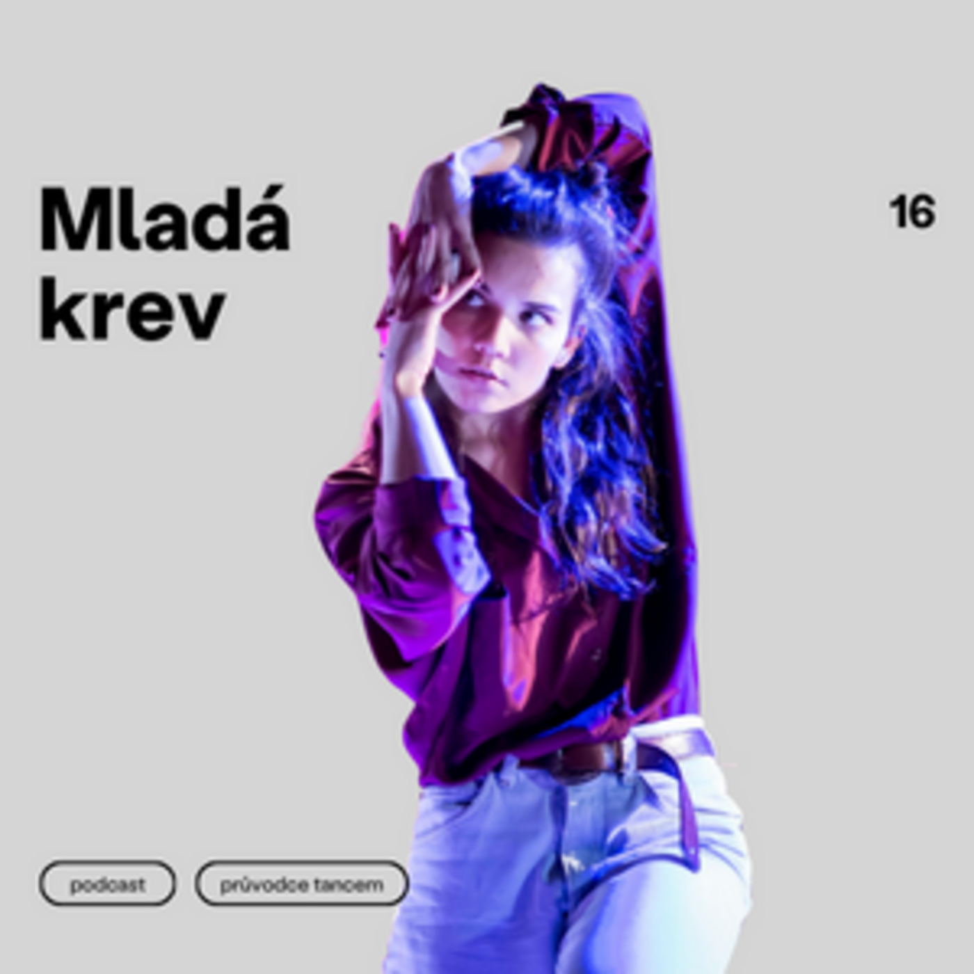 Průvodce tancem