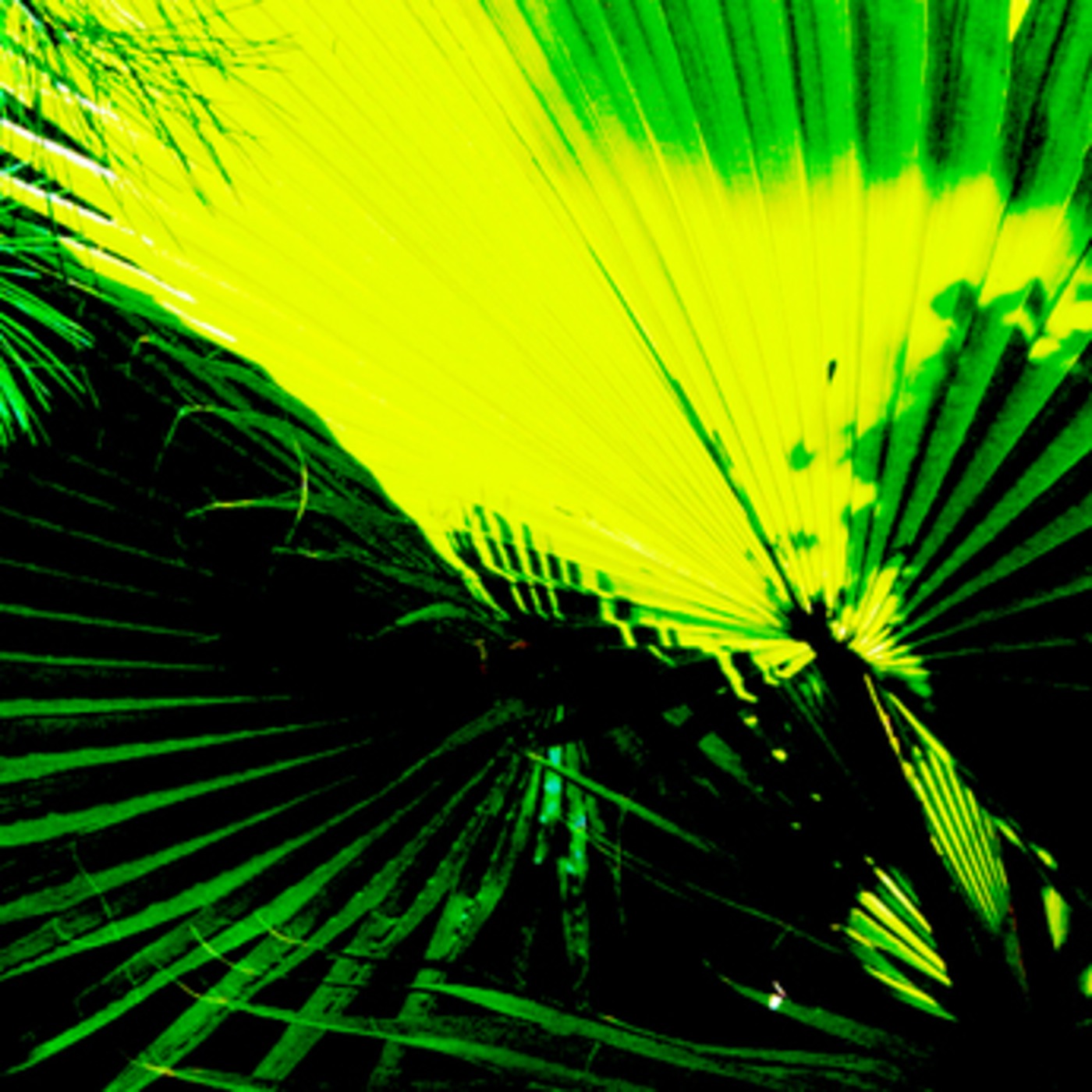 are you feeling tropical? episode artwork