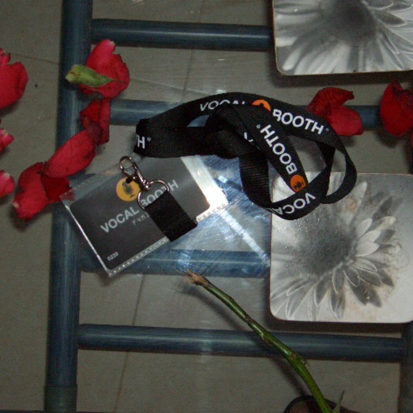 The Brother C - The \