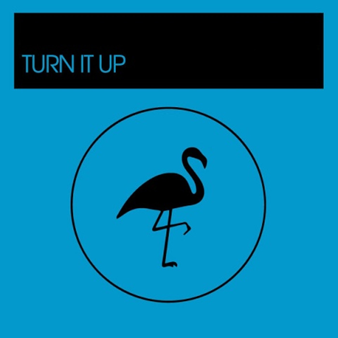 Phillip Seamon - Turn It Up