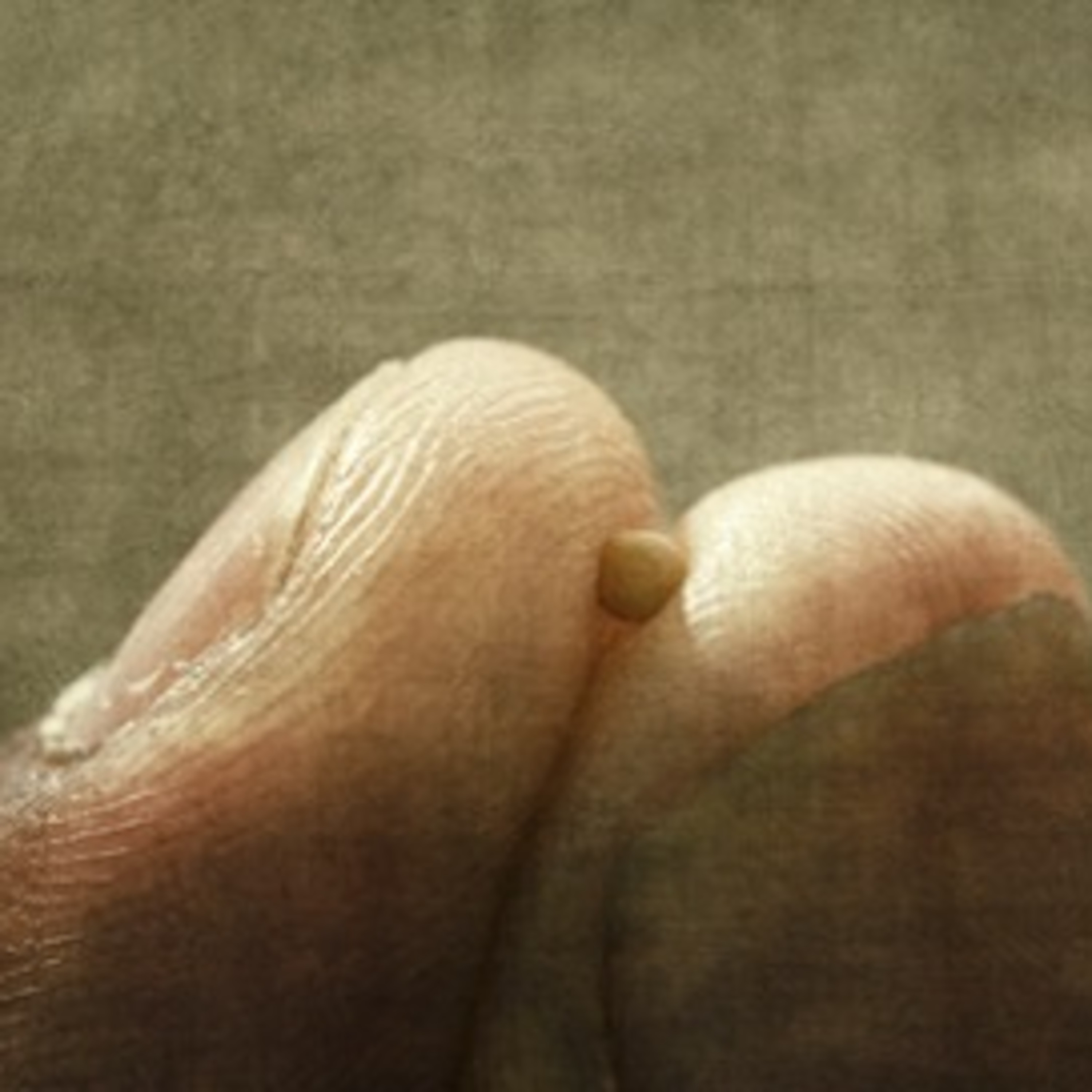 Martedì della XXX settimana del Tempo Ordinario