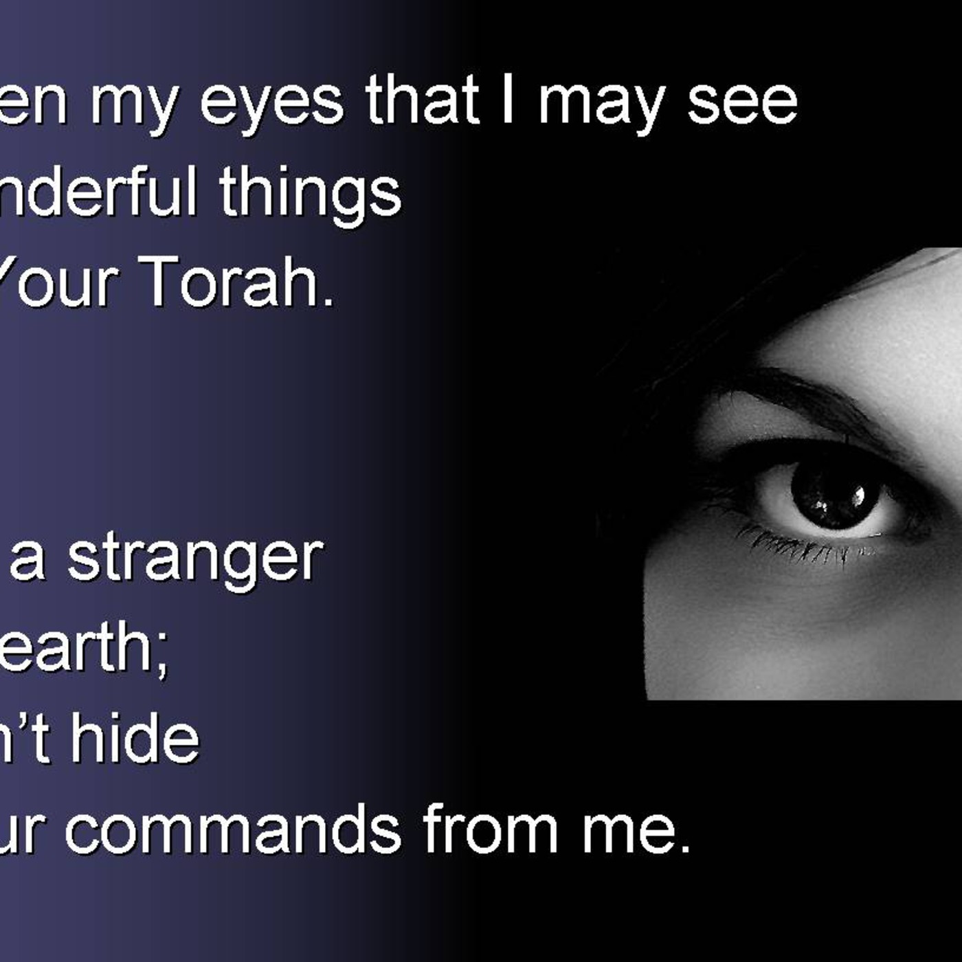 Torah (Torah #11)