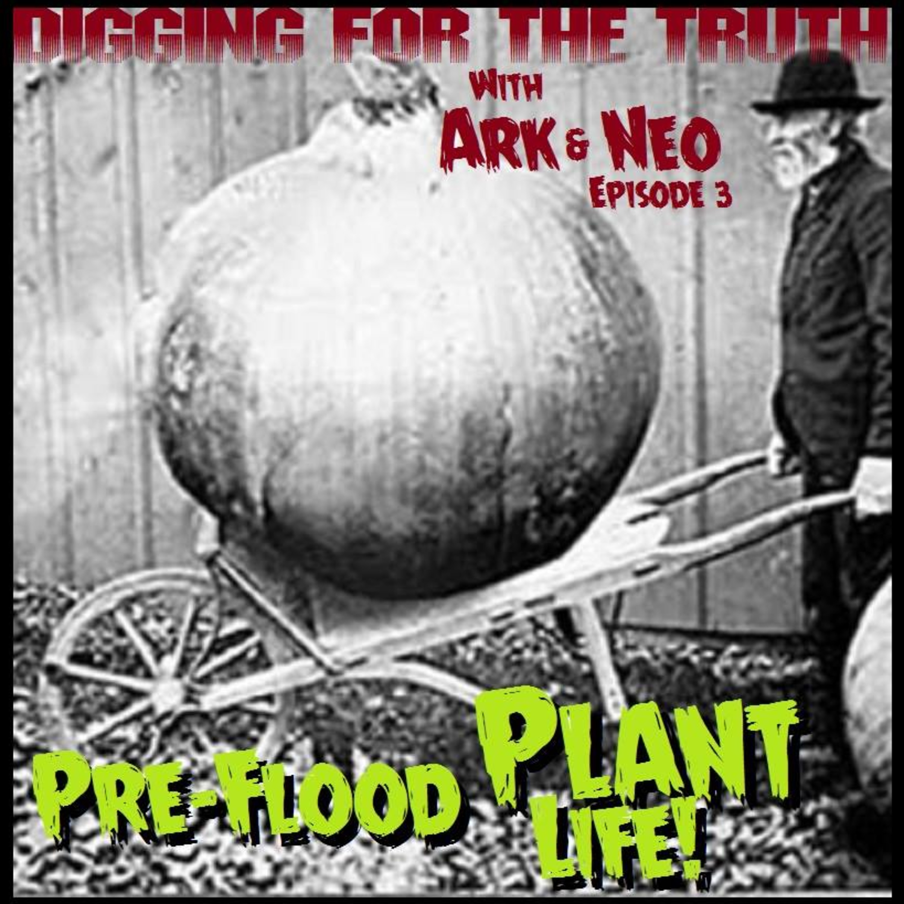 Digging for the Truth with Ark and Neo