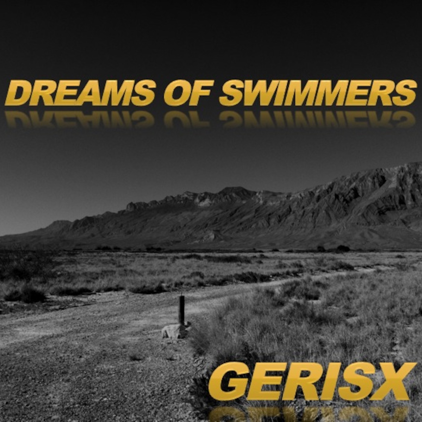 Dreams of swimmers