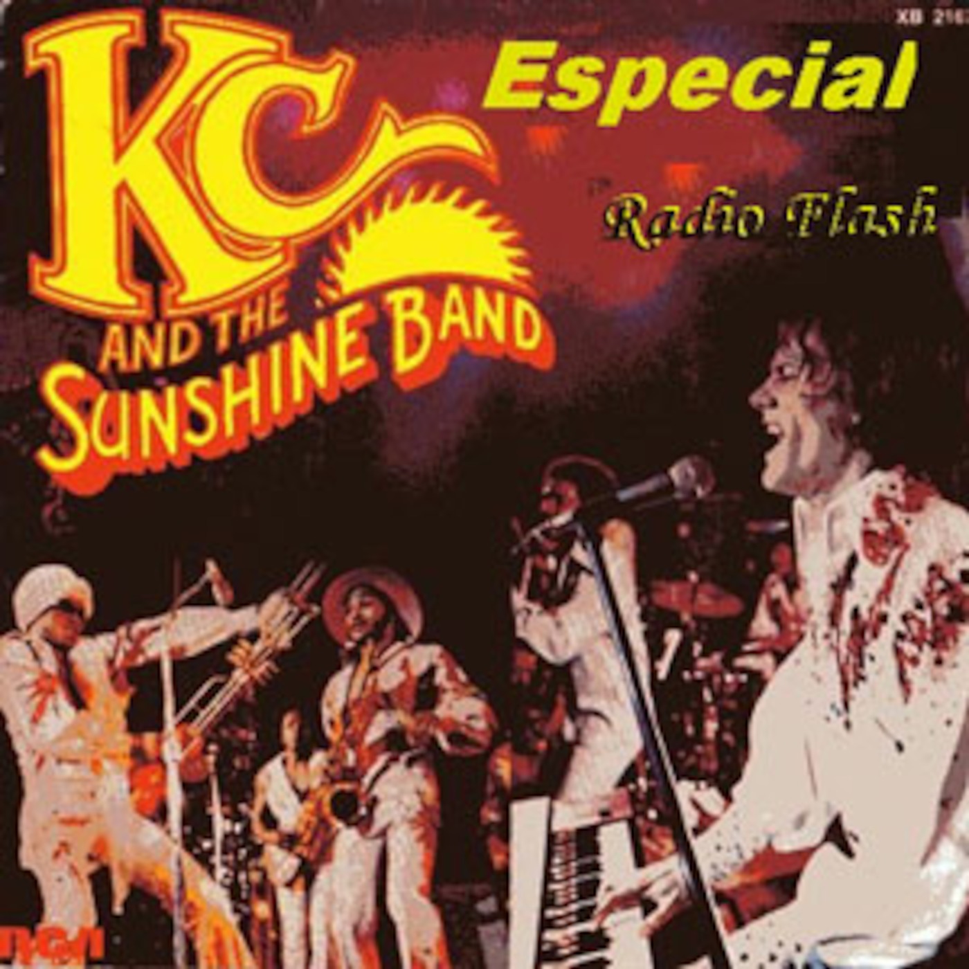 Radio Flash  Prog# 5 Especial KC episode artwork