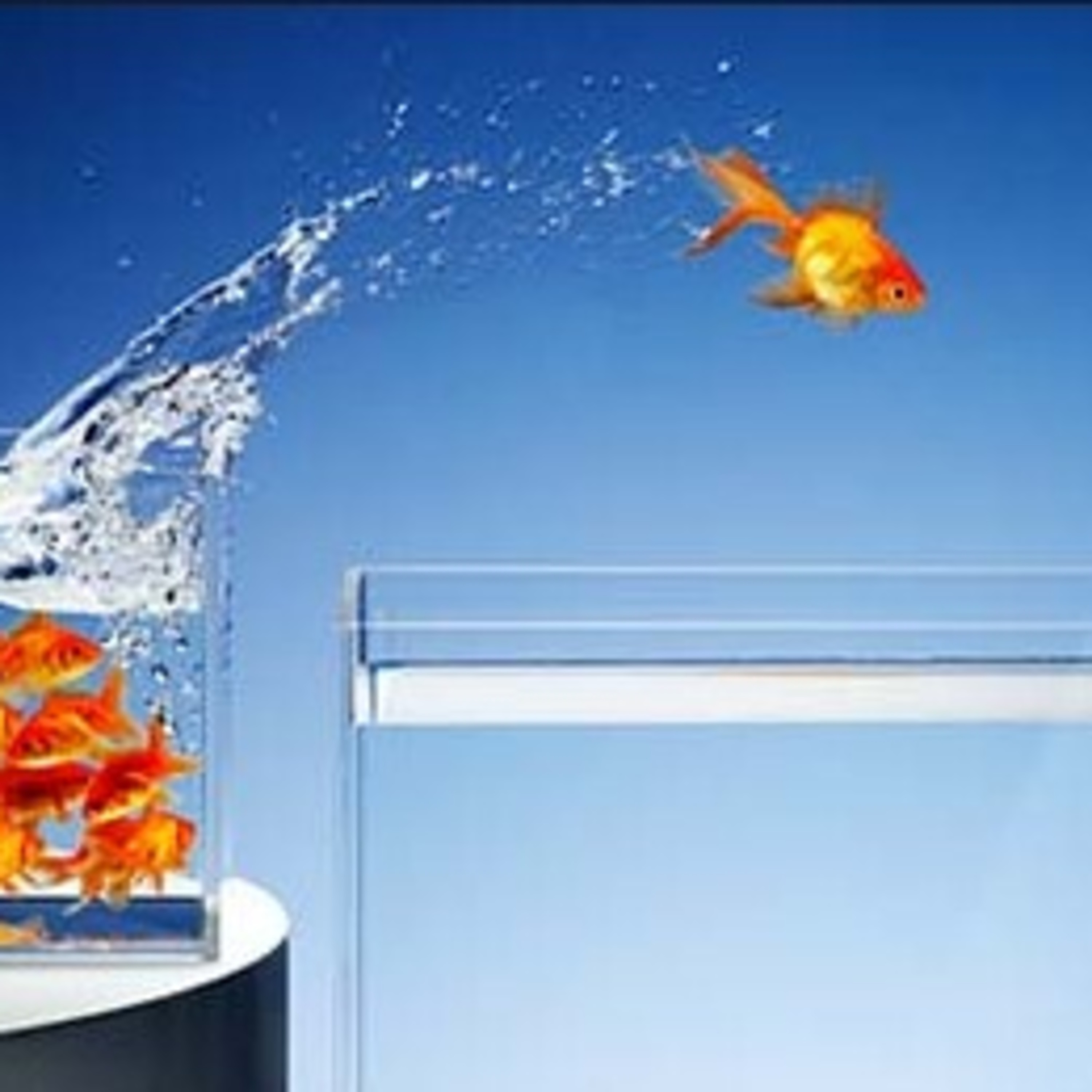 Principios de Superación # 2