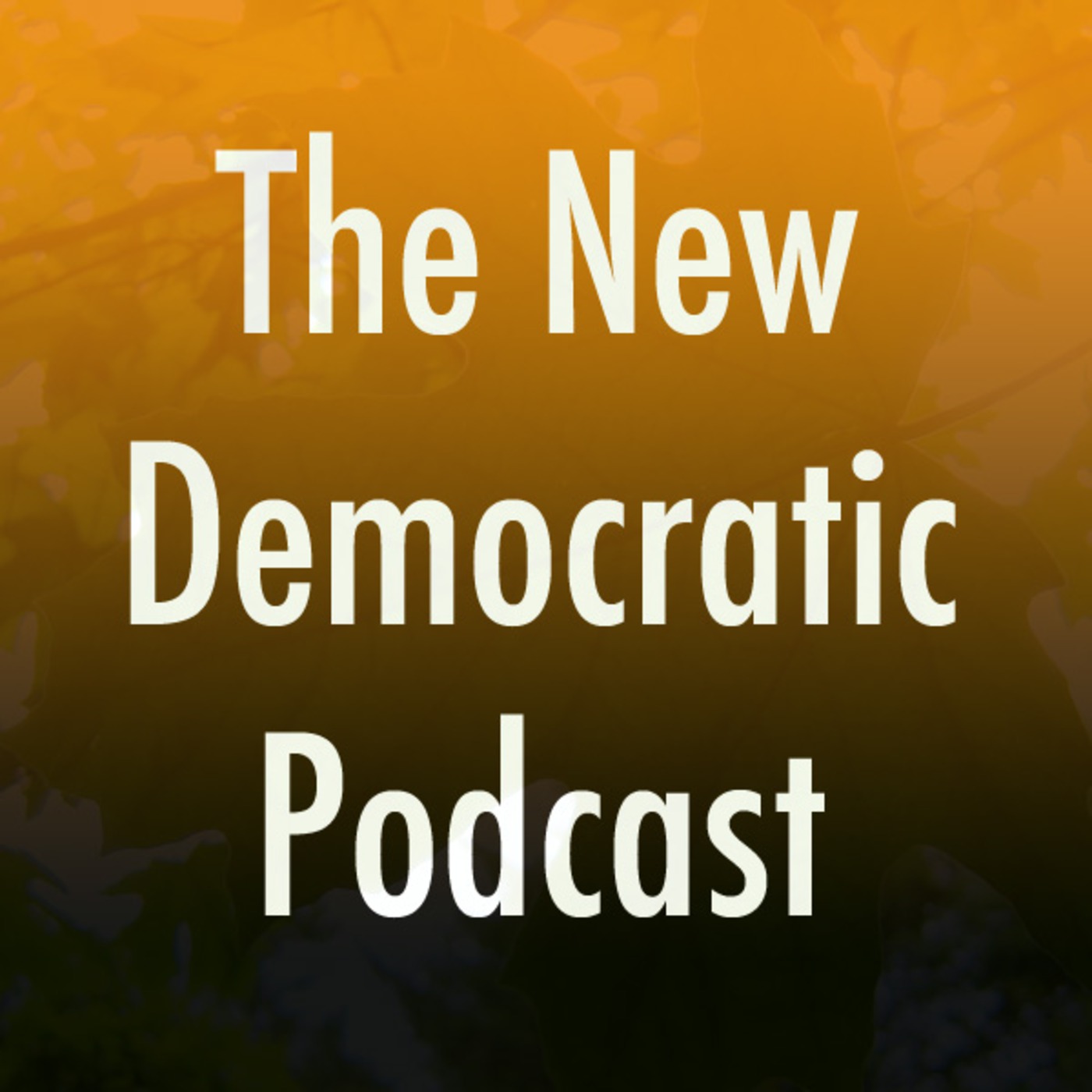 New Democratic Podcast - Episode 2 - December 19th, 2011