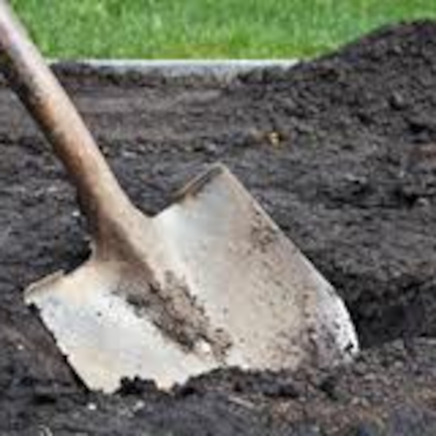 Building a Business from Six feet Under's Podcast