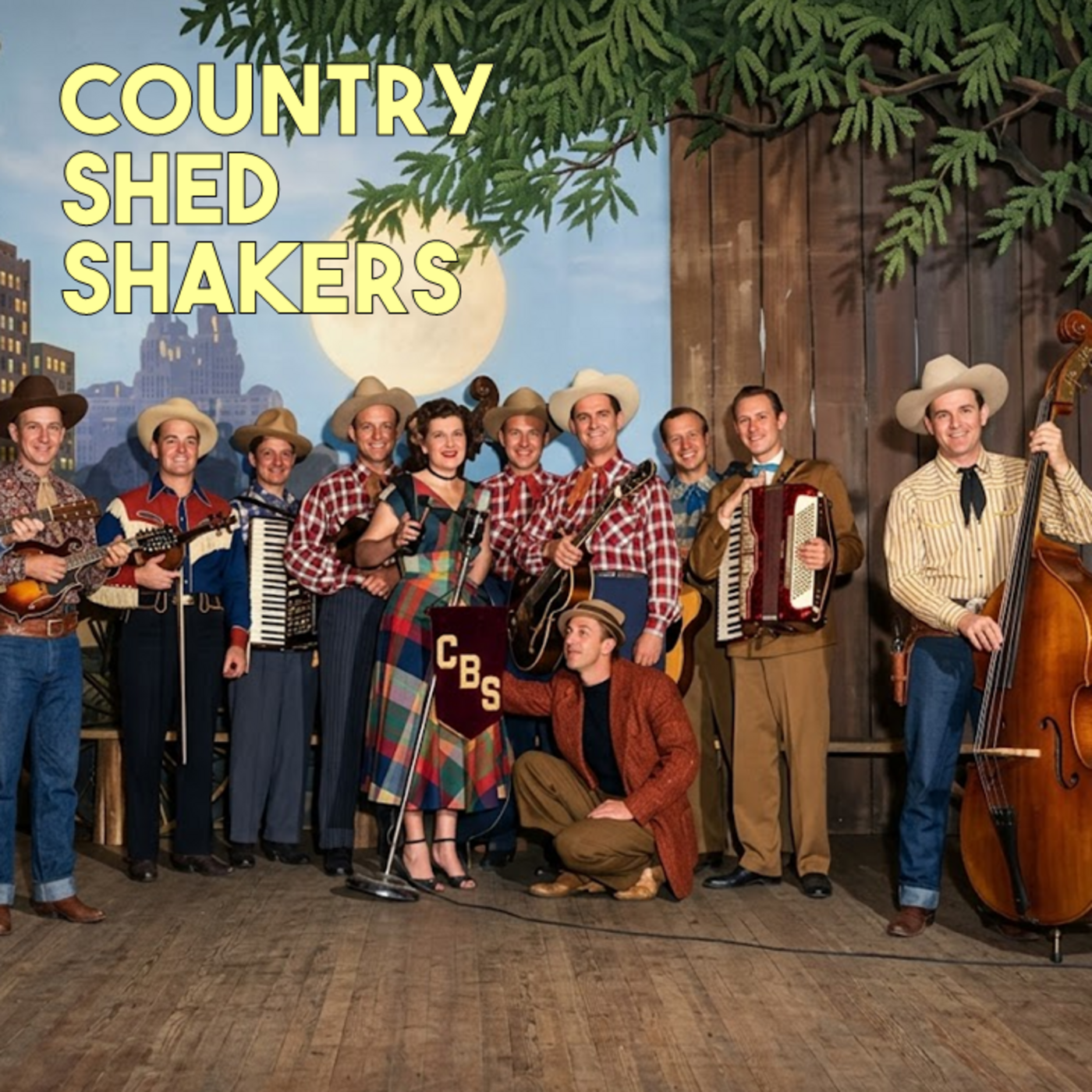 Episode 16: Country Shed Shakers episode artwork