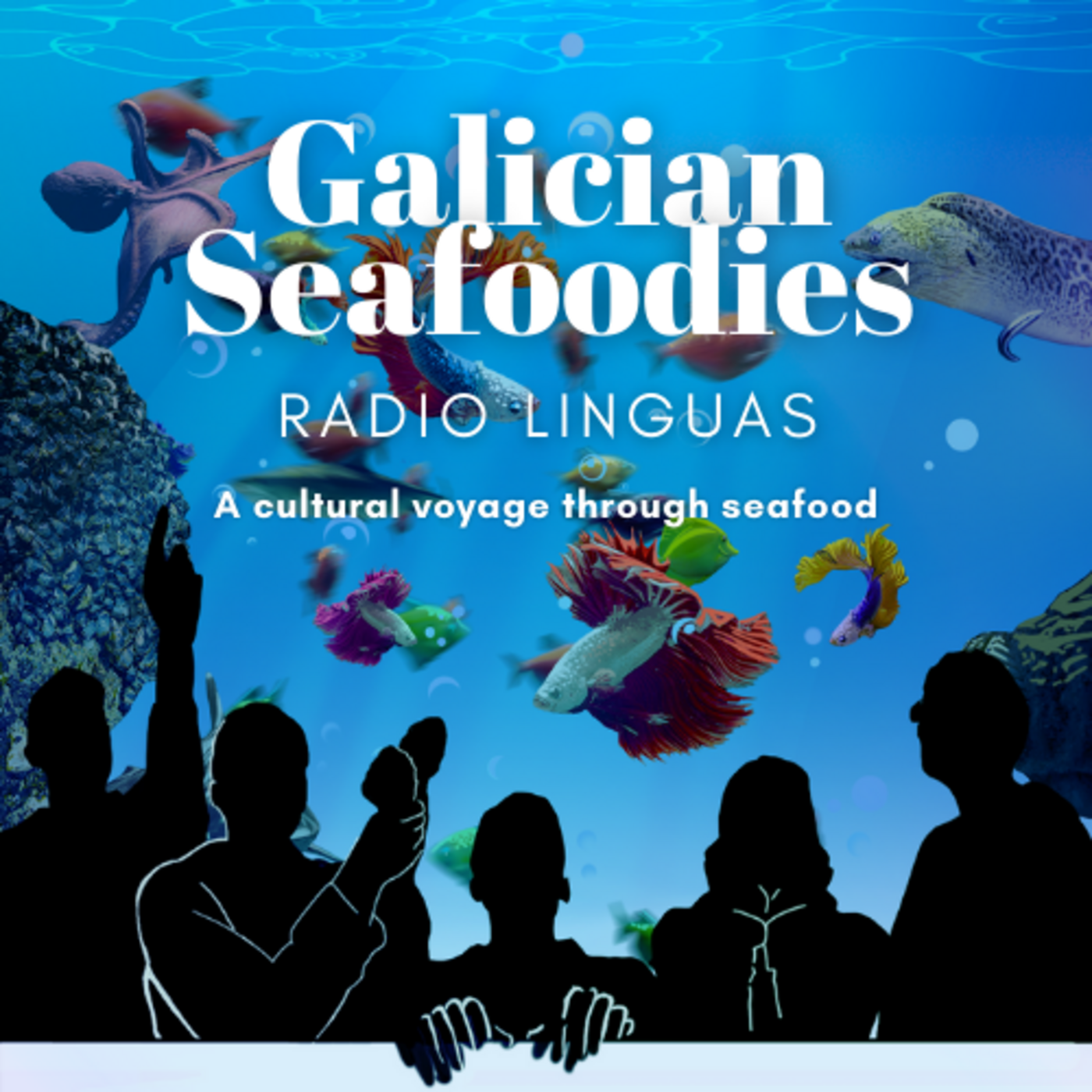 Radio Linguas