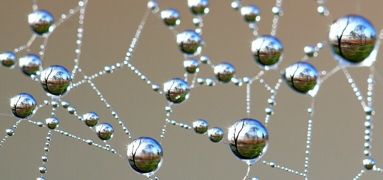 Episode 272: The Interconnected Patterns of Experience