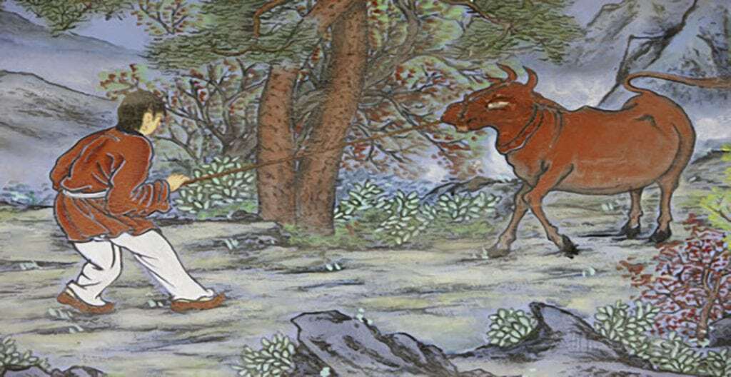 Where is the OX?