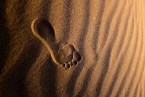 Episode 231: Where You Put Your Foot Down