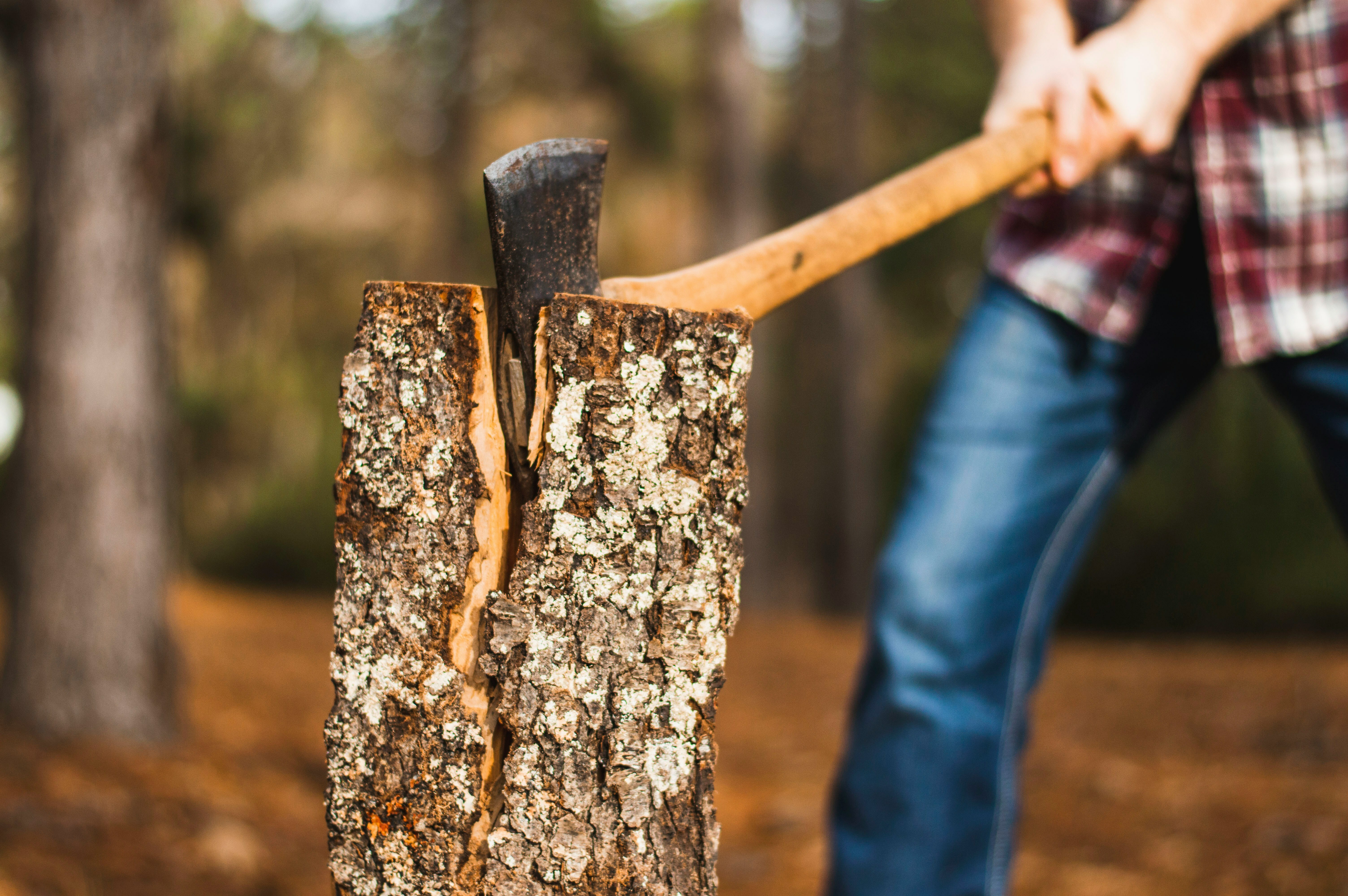 Episode 222: Chopping Wood, Carrying Water