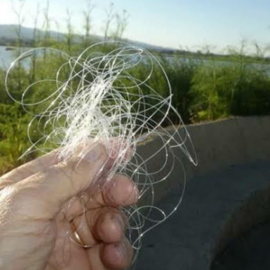 Episode 316: A Wind Knot Tangle episode artwork