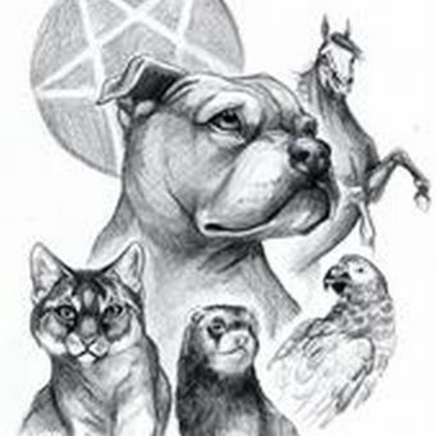 Satanism Today 12-13-08 Satanism Today 12-13-08