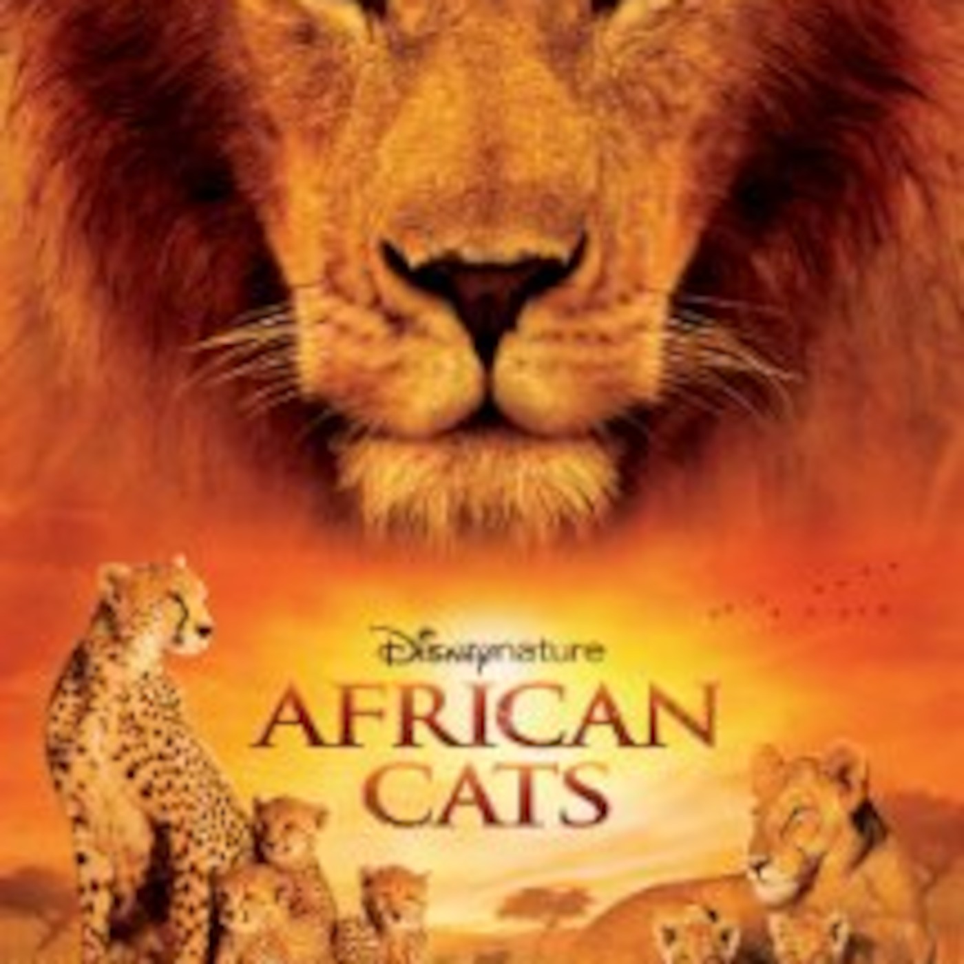 African Cats-Brooklyn- A Good Movie for 5th Graders?