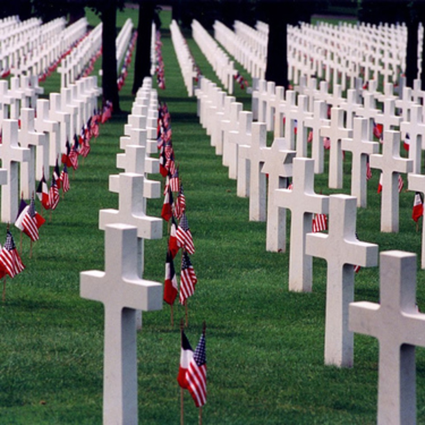 Honoring our Fallen