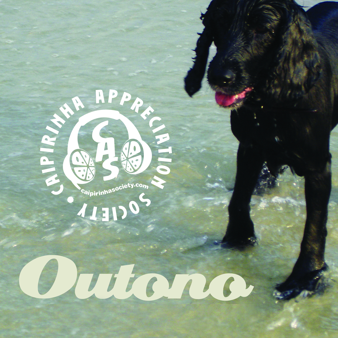 Caipirinha Appreciation Society: Brazilian music beyond the clichés