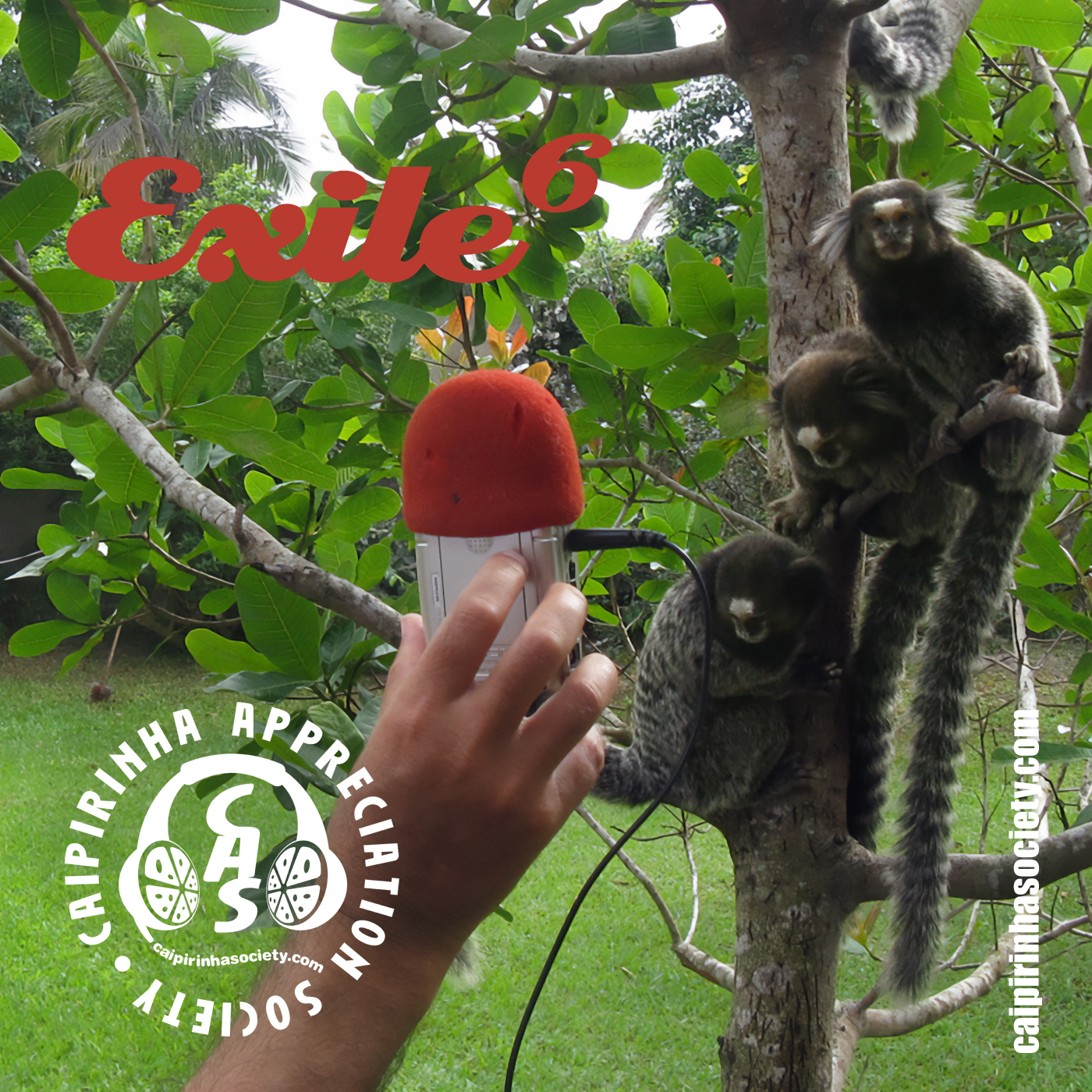 Caipirinha Appreciation Society: Brazilian music beyond the clichés