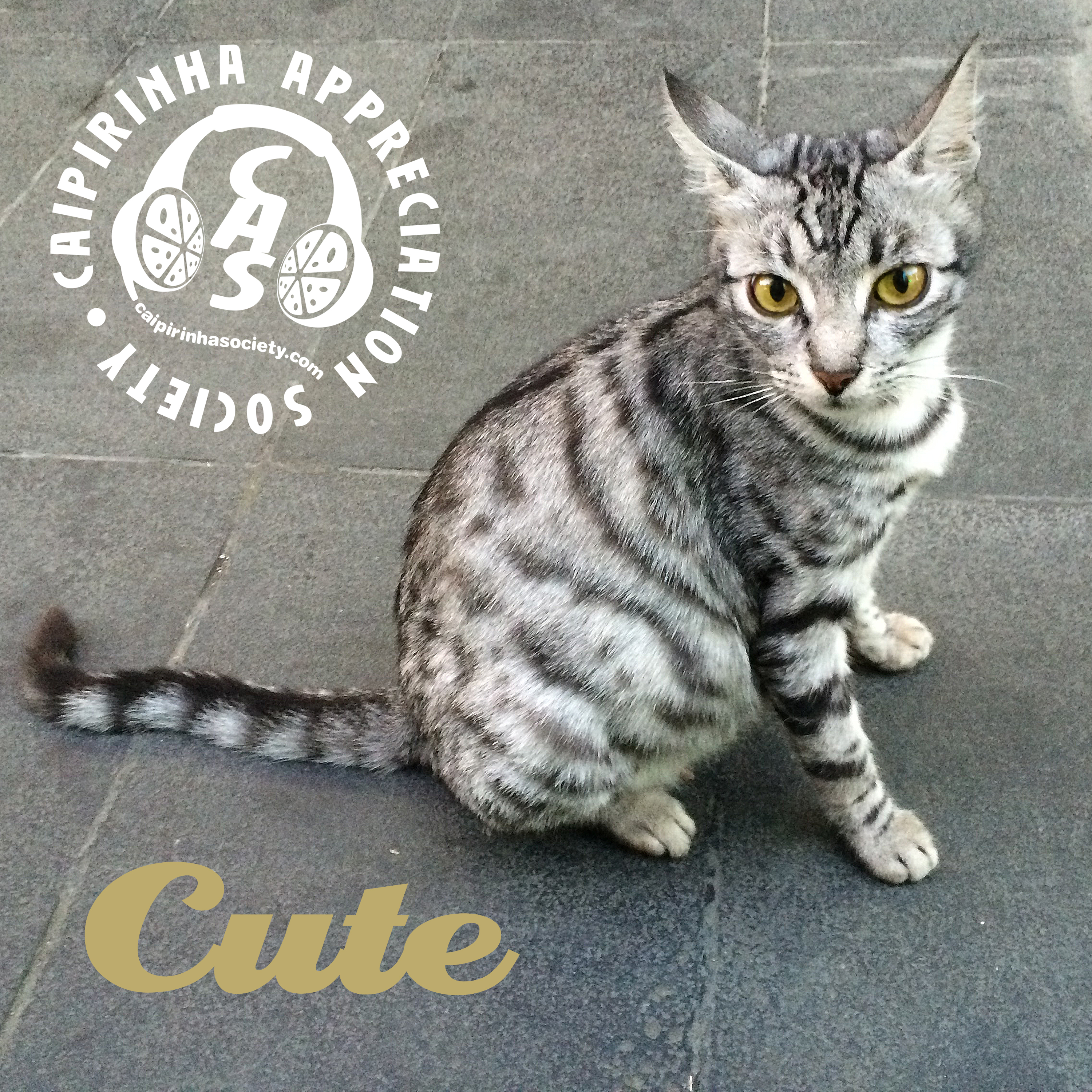 Caipirinha Appreciation Society: Brazilian music beyond the clichés