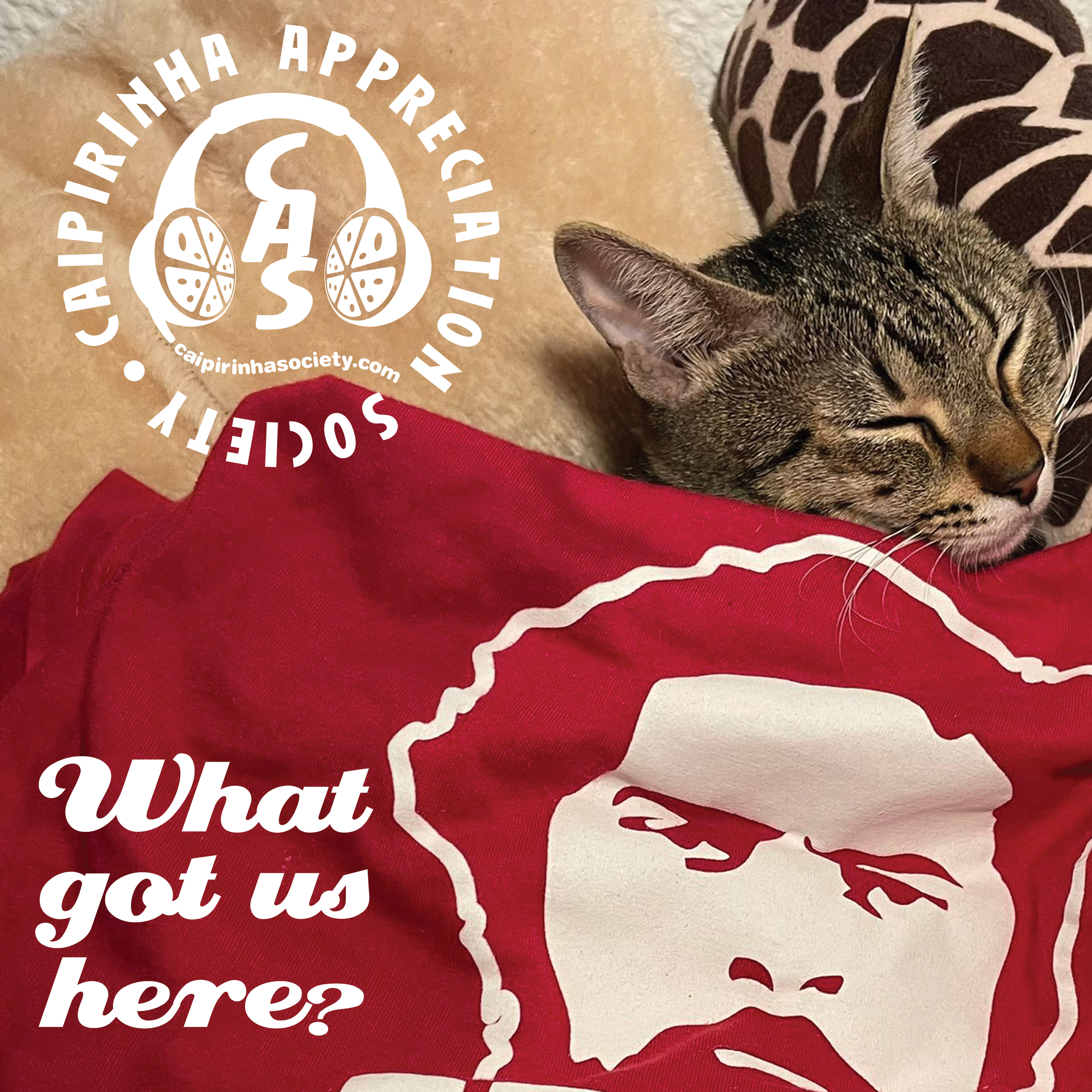 Caipirinha Appreciation Society: Brazilian music beyond the clichés