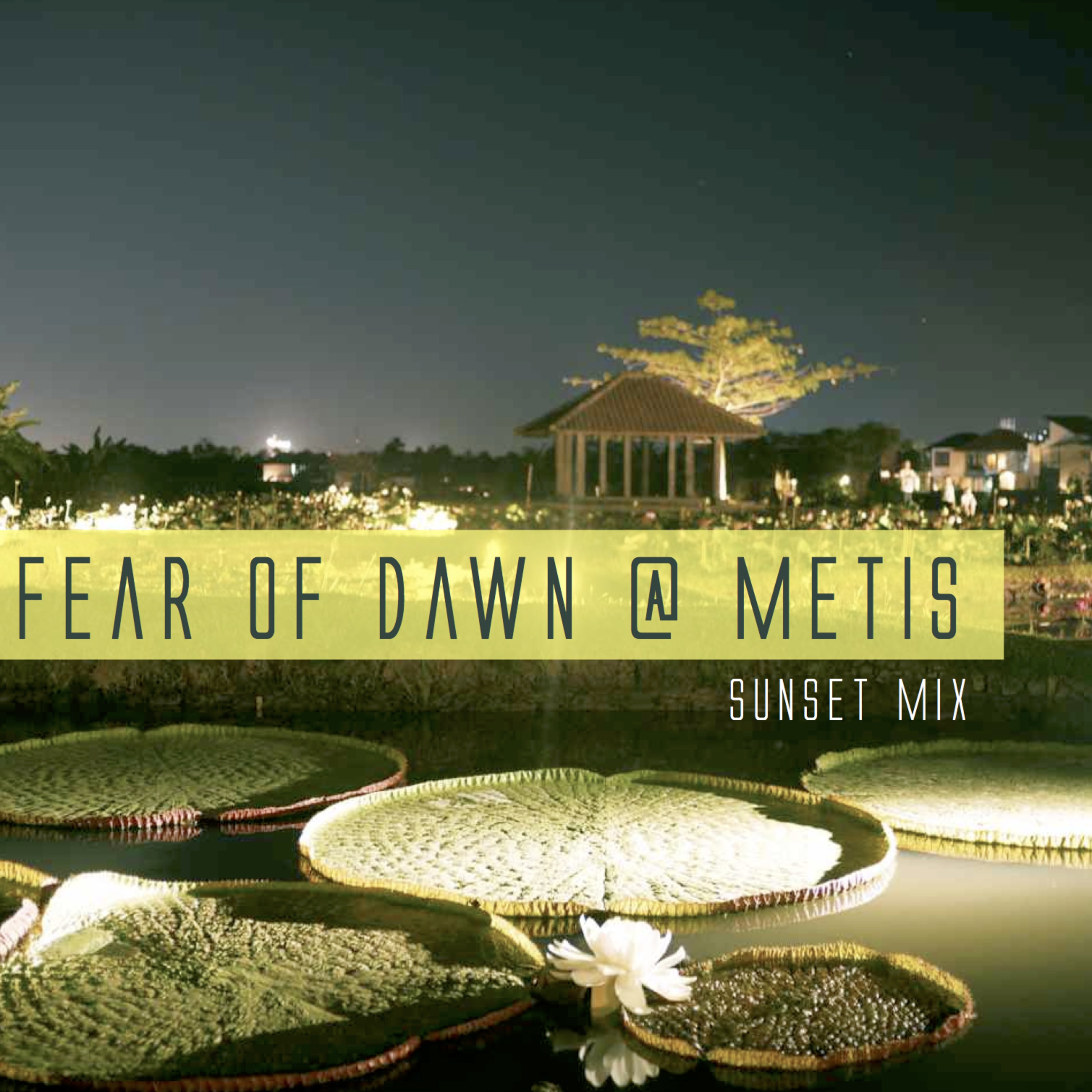 the Fear of Dawn Show