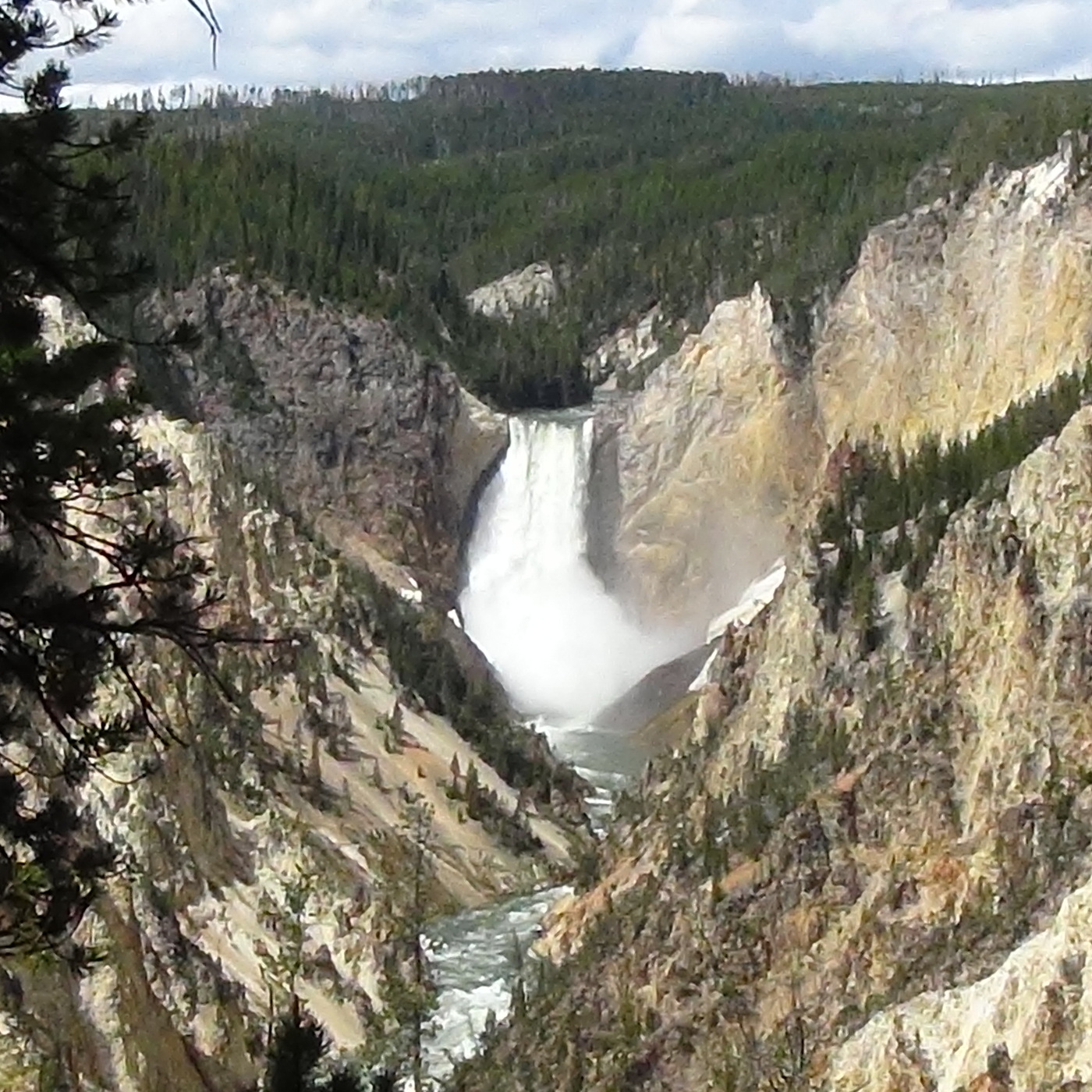 Day 16 - #MiddieGoesToYellowstone - Day 4 - Yellowstone Falls and Frosty Trails