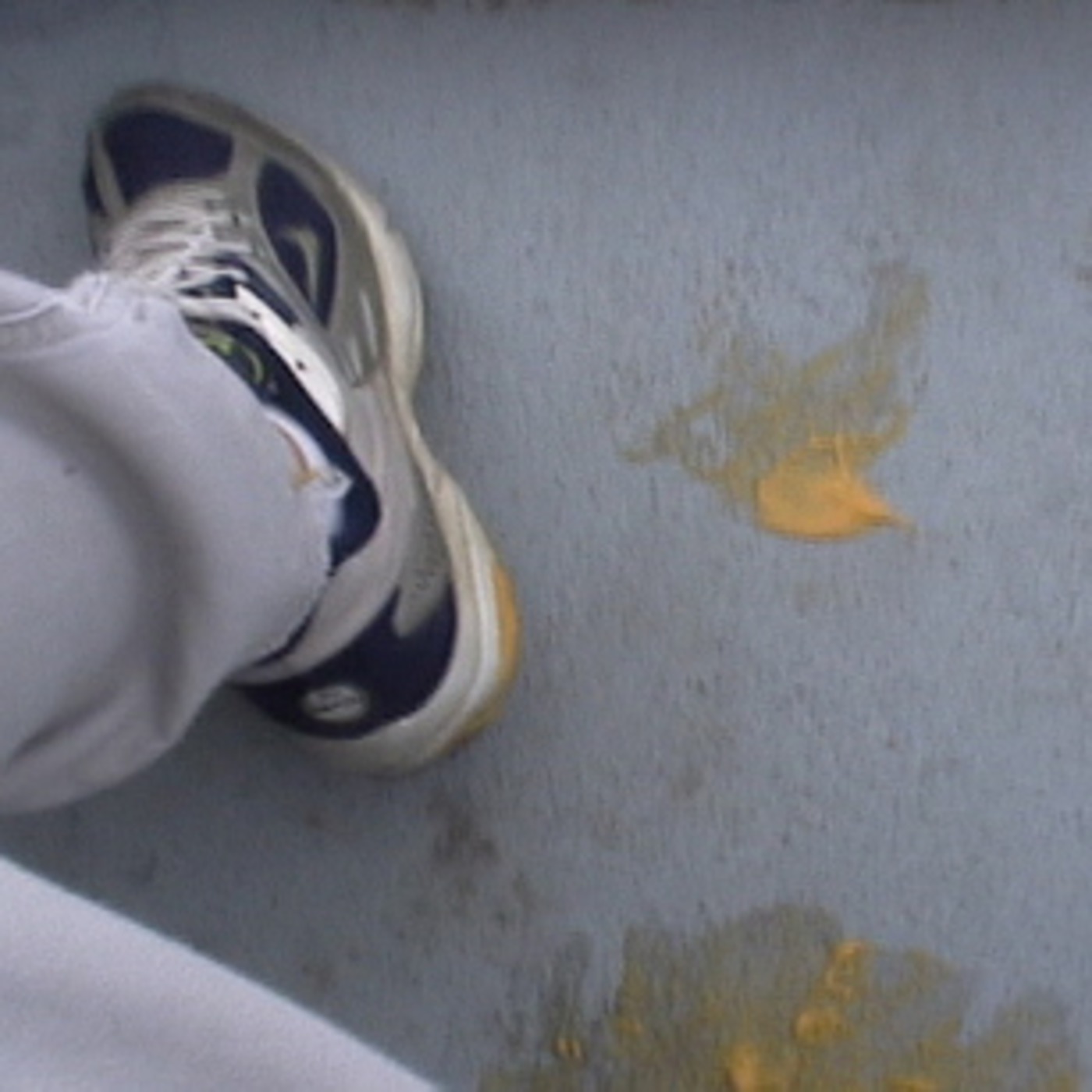 Self Reflection Self Reflection