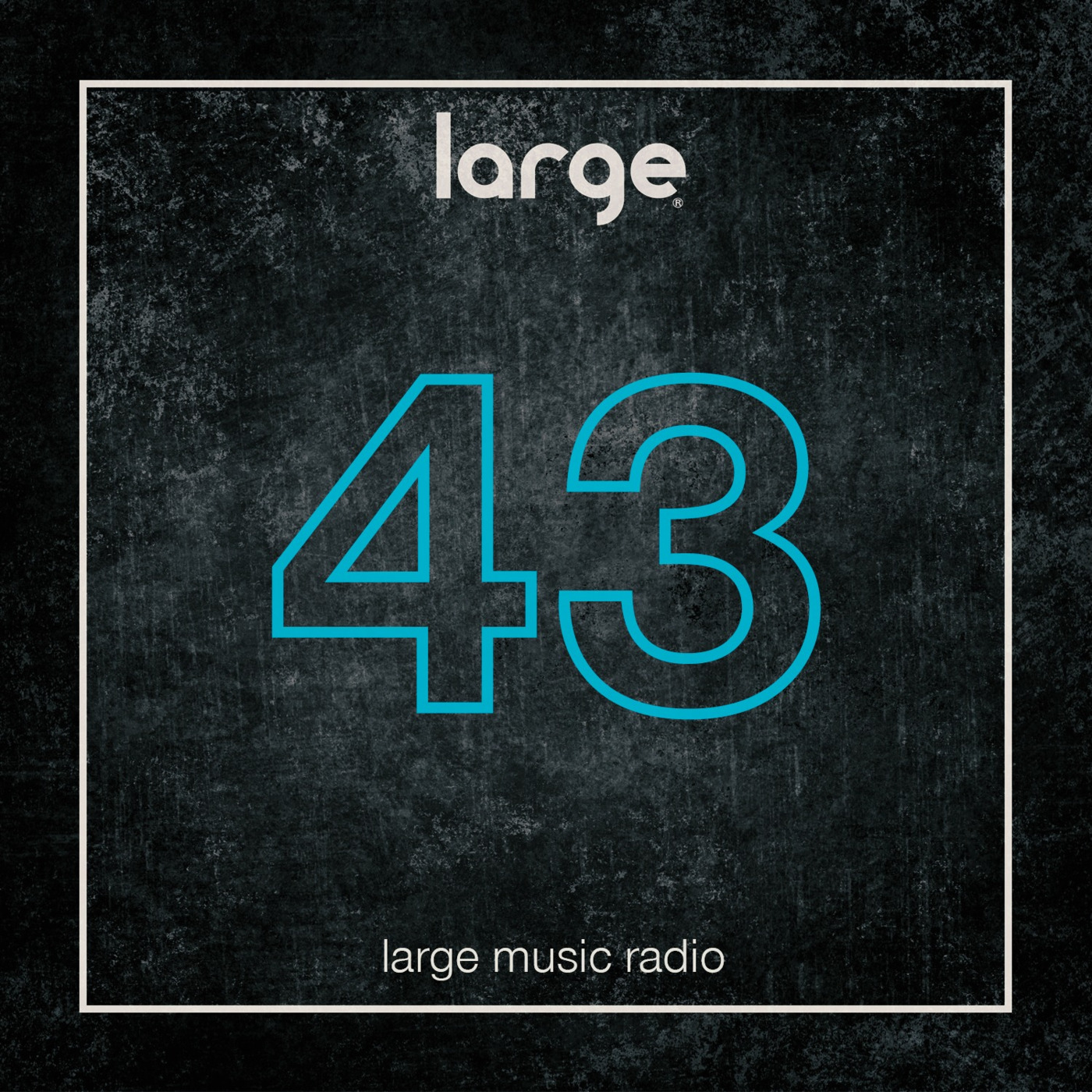 Large Music Radio