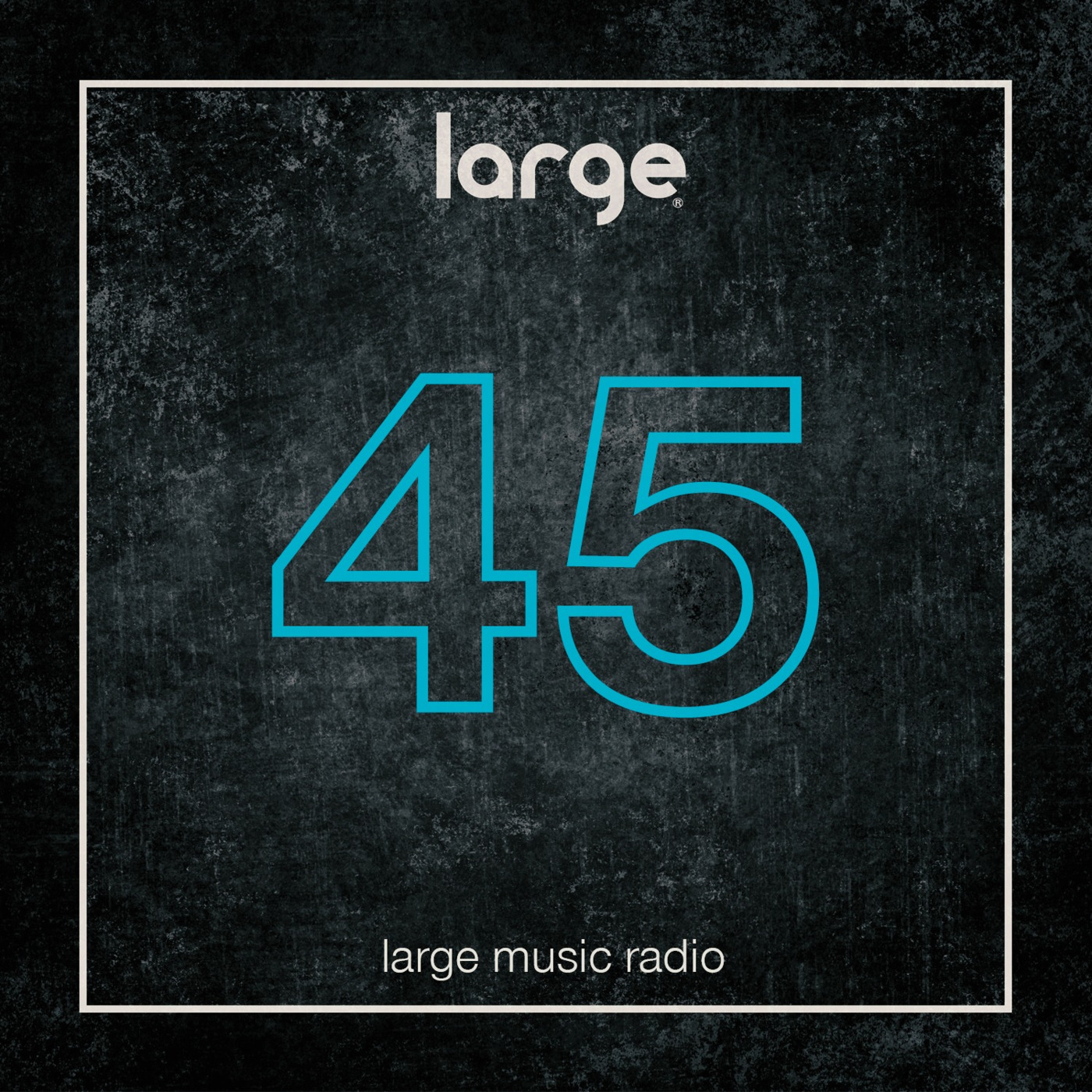 Large Music Radio
